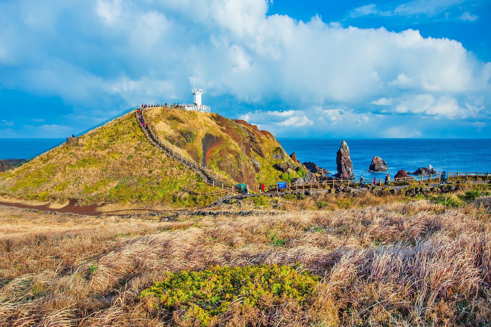 4월 봄 제주 가볼만한곳 명소 TOP 05 데이트 주말 나들이 추천