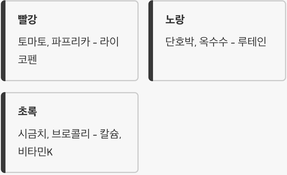 색깔별로 채우는 영양소 무지개