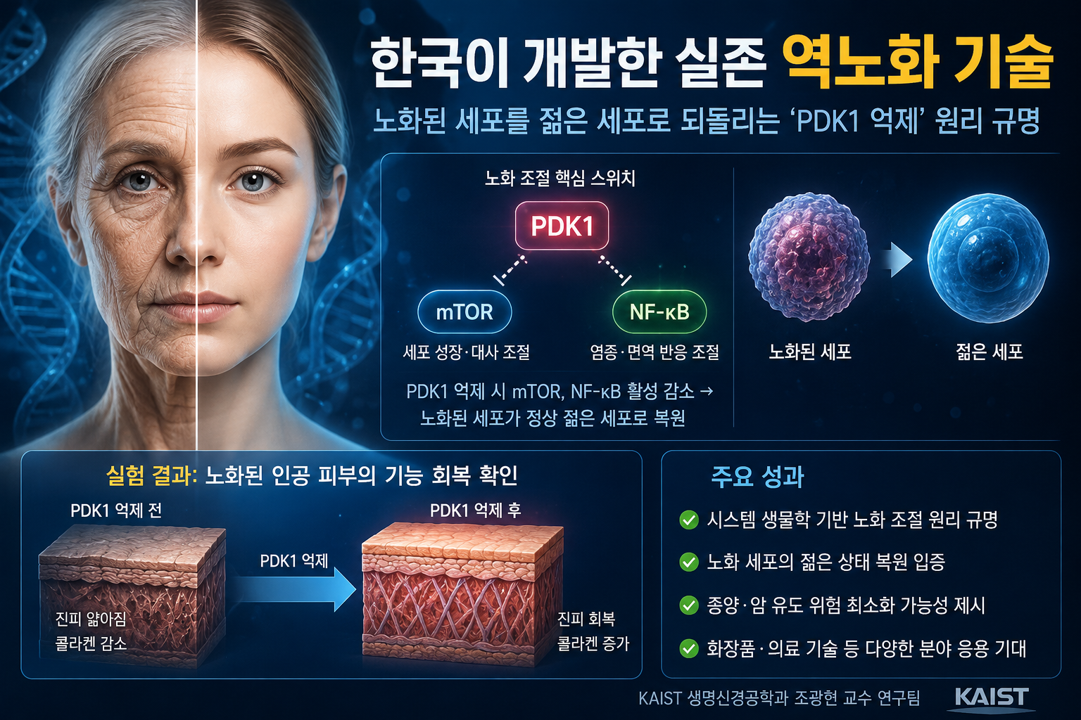 한국 연구진이 찾아낸 노화의 핵심