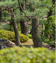 화담숲 예약