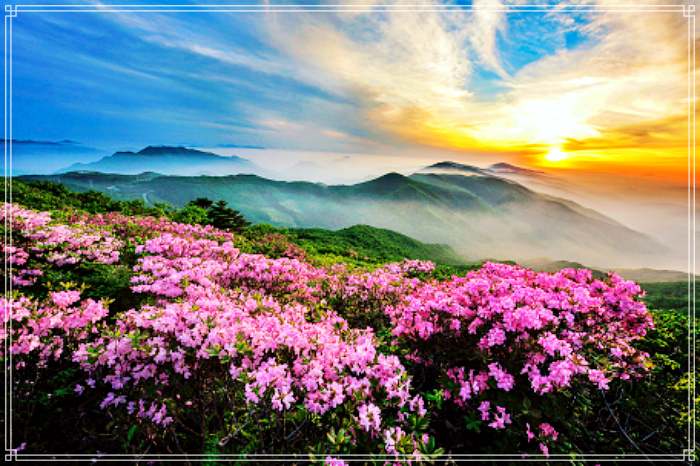 생생정보 동강 래프팅, 가족 여행, 데이트 코스 가볼만한 곳, 오토 캠핑장, 글램핑, 숙소 추천 문의 연락처 소개 방송
