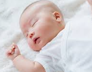 임신 사전 건강관리 지원사업