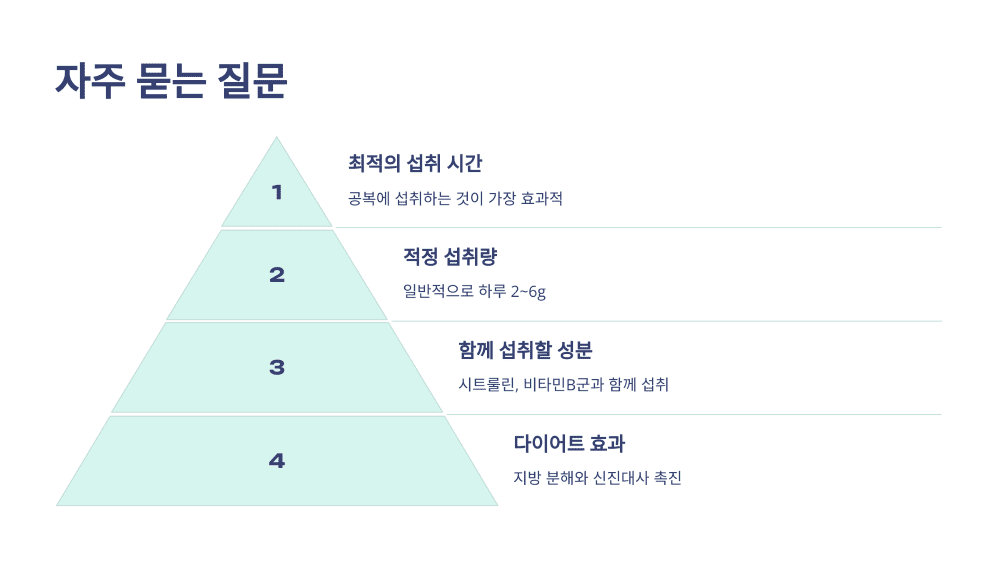 자주 묻는 질문
