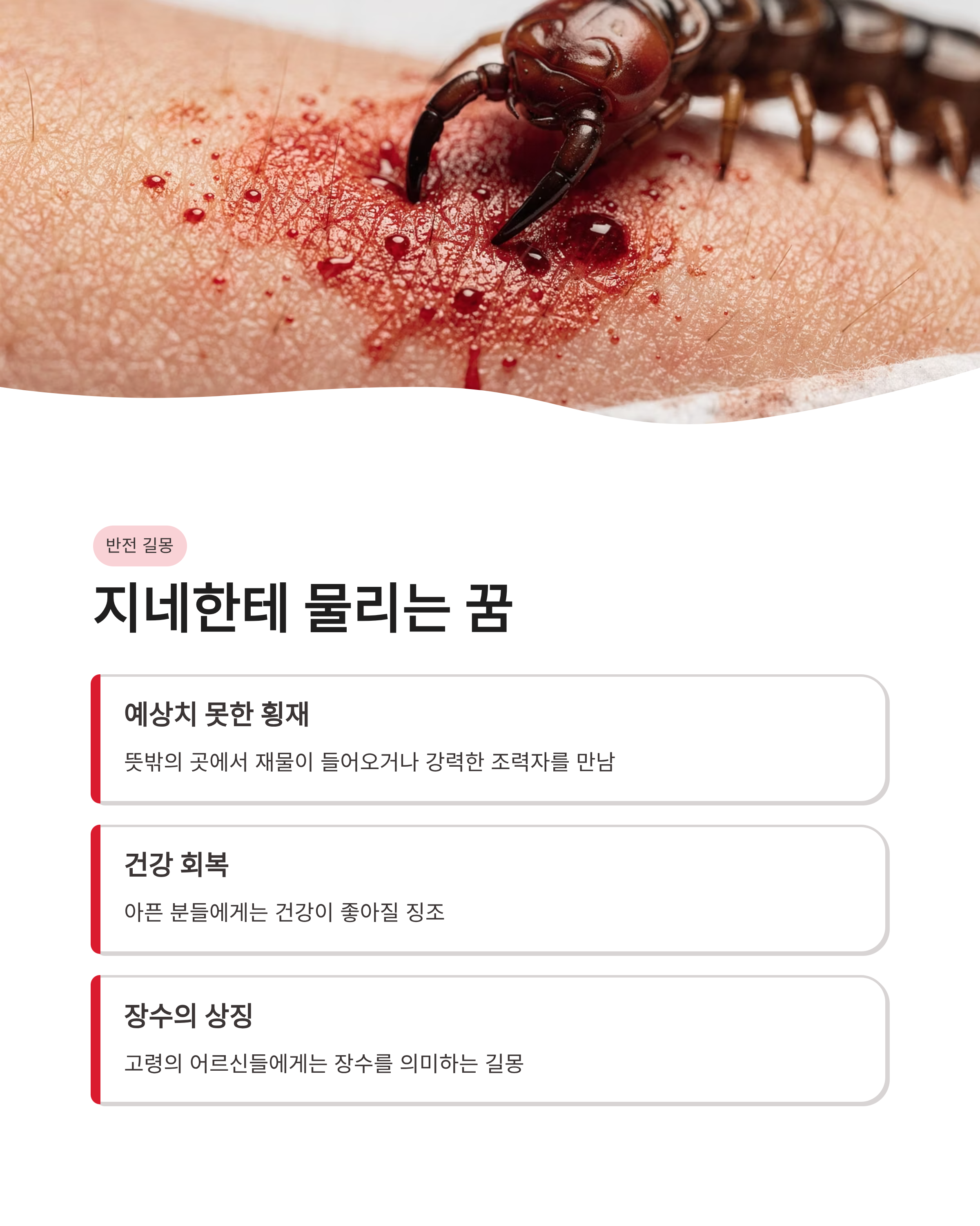 지네꿈 해몽 큰 지네 태몽 물리는 꿈 상황별 완벽 정리! 대박 기회일까?