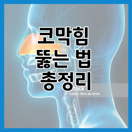 코막힘 뚫는 법 총정리