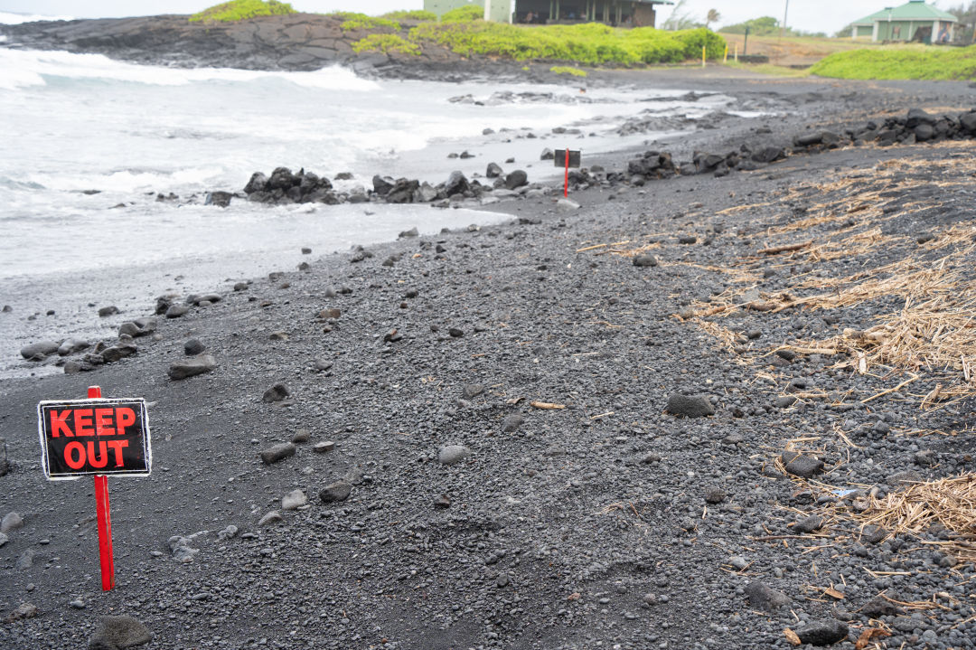 푸날루우 블랙 샌드 비치 거북이