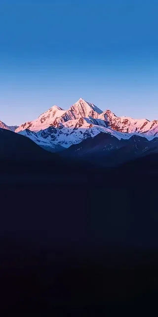 사회복지사 2급 총정리