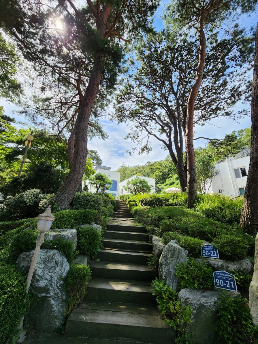 강화도 펜션 강화도 팬션 애견펜션