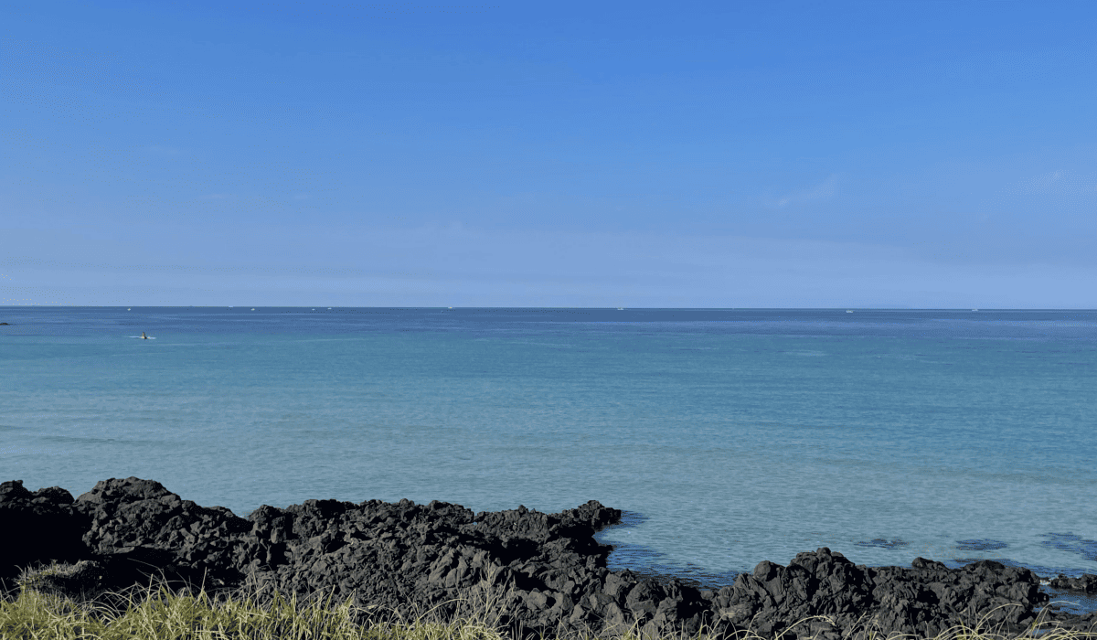 제주_땡처리_항공권_11