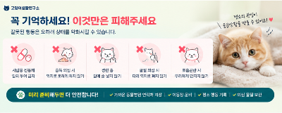 개냥이 호흡곤란·중독·출혈·경련 등 응급상황 대처법 바로 병원에 가야 하는 증상 총정리
