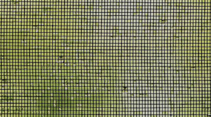 방충망 교체비용&amp;#44; 방충망 셀프교체&amp;#44; 아파트 방충망 교체비용&amp;#44; 방충망 교체방법&amp;#44; 방충망 설치&amp;#44; 방충망 가격&amp;#44; 미세 방충망 가격&amp;#44; 현관 방충망 설치 가격&amp;#44; 베란다 방충망 교체비용&amp;#44; 롤 방충망 가격&amp;#44; 롤 방충망 교체&amp;#44; 방충망 문&amp;#44; 창문 방충망 교체&amp;#44; 창문 방충망 비용&amp;#44; 창문 방충망 설치팁&amp;#44; 방충망 교체비용&amp;#44; 방충망 셀프교체&amp;#44; 아파트 방충망 교체비용&amp;#44; 방충망 교체방법&amp;#44; 방충망 설치&amp;#44; 방충망 가격&amp;#44; 미세 방충망 가격&amp;#44; 현관 방충망 설치 가격&amp;#44; 베란다 방충망 교체비용&amp;#44; 롤 방충망 가격&amp;#44; 롤 방충망 교체&amp;#44; 방충망 문&amp;#44; 창문 방충망 교체&amp;#44; 창문 방충망 비용&amp;#44; 창문 방충망 설치팁&amp;#44; 방충망 교체비용&amp;#44; 방충망 셀프교체&amp;#44; 아파트 방충망 교체비용&amp;#44; 방충망 교체방법&amp;#44; 방충망 설치&amp;#44; 방충망 가격&amp;#44; 미세 방충망 가격&amp;#44; 현관 방충망 설치 가격&amp;#44; 베란다 방충망 교체비용&amp;#44; 롤 방충망 가격&amp;#44; 롤 방충망 교체&amp;#44; 방충망 문&amp;#44; 창문 방충망 교체&amp;#44; 창문 방충망 비용&amp;#44; 창문 방충망 설치팁&amp;#44; 방충망 교체비용&amp;#44; 방충망 셀프교체&amp;#44; 아파트 방충망 교체비용&amp;#44; 방충망 교체방법&amp;#44; 방충망 설치&amp;#44; 방충망 가격&amp;#44; 미세 방충망 가격&amp;#44; 현관 방충망 설치 가격&amp;#44; 베란다 방충망 교체비용&amp;#44; 롤 방충망 가격&amp;#44; 롤 방충망 교체&amp;#44; 방충망 문&amp;#44; 창문 방충망 교체&amp;#44; 창문 방충망 비용&amp;#44; 창문 방충망 설치팁&amp;#44; 방충망 교체비용&amp;#44; 방충망 셀프교체&amp;#44; 아파트 방충망 교체비용&amp;#44; 방충망 교체방법&amp;#44; 방충망 설치&amp;#44; 방충망 가격&amp;#44; 미세 방충망 가격&amp;#44; 현관 방충망 설치 가격&amp;#44; 베란다 방충망 교체비용&amp;#44; 롤 방충망 가격&amp;#44; 롤 방충망 교체&amp;#44; 방충망 문&amp;#44; 창문 방충망 교체&amp;#44; 창문 방충망 비용&amp;#44; 창문 방충망 설치팁&amp;#44; 방충망 교체비용&amp;#44; 방충망 셀프교체&amp;#44; 아파트 방충망 교체비용&amp;#44; 방충망 교체방법&amp;#44; 방충망 설치&amp;#44; 방충망 가격&amp;#44; 미세 방충망 가격&amp;#44; 현관 방충망 설치 가격&amp;#44; 베란다 방충망 교체비용&amp;#44; 롤 방충망 가격&amp;#44; 롤 방충망 교체&amp;#44; 방충망 문&amp;#44; 창문 방충망 교체&amp;#44; 창문 방충망 비용&amp;#44; 창문 방충망 설치팁&amp;#44; 방충망 교체비용&amp;#44; 방충망 셀프교체&amp;#44; 아파트 방충망 교체비용&amp;#44; 방충망 교체방법&amp;#44; 방충망 설치&amp;#44; 방충망 가격&amp;#44; 미세 방충망 가격&amp;#44; 현관 방충망 설치 가격&amp;#44; 베란다 방충망 교체비용&amp;#44; 롤 방충망 가격&amp;#44; 롤 방충망 교체&amp;#44; 방충망 문&amp;#44; 창문 방충망 교체&amp;#44; 창문 방충망 비용&amp;#44; 창문 방충망 설치팁&amp;#44; 방충망 교체비용&amp;#44; 방충망 셀프교체&amp;#44; 아파트 방충망 교체비용&amp;#44; 방충망 교체방법&amp;#44; 방충망 설치&amp;#44; 방충망 가격&amp;#44; 미세 방충망 가격&amp;#44; 현관 방충망 설치 가격&amp;#44; 베란다 방충망 교체비용&amp;#44; 롤 방충망 가격&amp;#44; 롤 방충망 교체&amp;#44; 방충망 문&amp;#44; 창문 방충망 교체&amp;#44; 창문 방충망 비용&amp;#44; 창문 방충망 설치팁&amp;#44; 방충망 교체비용&amp;#44; 방충망 셀프교체&amp;#44; 아파트 방충망 교체비용&amp;#44; 방충망 교체방법&amp;#44; 방충망 설치&amp;#44; 방충망 가격&amp;#44; 미세 방충망 가격&amp;#44; 현관 방충망 설치 가격&amp;#44; 베란다 방충망 교체비용&amp;#44; 롤 방충망 가격&amp;#44; 롤 방충망 교체&amp;#44; 방충망 문&amp;#44; 창문 방충망 교체&amp;#44; 창문 방충망 비용&amp;#44; 창문 방충망 설치팁&amp;#44; 방충망 교체비용&amp;#44; 방충망 셀프교체&amp;#44; 아파트 방충망 교체비용&amp;#44; 방충망 교체방법&amp;#44; 방충망 설치&amp;#44; 방충망 가격&amp;#44; 미세 방충망 가격&amp;#44; 현관 방충망 설치 가격&amp;#44; 베란다 방충망 교체비용&amp;#44; 롤 방충망 가격&amp;#44; 롤 방충망 교체&amp;#44; 방충망 문&amp;#44; 창문 방충망 교체&amp;#44; 창문 방충망 비용&amp;#44; 창문 방충망 설치팁&amp;#44; 방충망 교체비용&amp;#44; 방충망 셀프교체&amp;#44; 아파트 방충망 교체비용&amp;#44; 방충망 교체방법&amp;#44; 방충망 설치&amp;#44; 방충망 가격&amp;#44; 미세 방충망 가격&amp;#44; 현관 방충망 설치 가격&amp;#44; 베란다 방충망 교체비용&amp;#44; 롤 방충망 가격&amp;#44; 롤 방충망 교체&amp;#44; 방충망 문&amp;#44; 창문 방충망 교체&amp;#44; 창문 방충망 비용&amp;#44; 창문 방충망 설치팁&amp;#44; 방충망 교체비용&amp;#44; 방충망 셀프교체&amp;#44; 아파트 방충망 교체비용&amp;#44; 방충망 교체방법&amp;#44; 방충망 설치&amp;#44; 방충망 가격&amp;#44; 미세 방충망 가격&amp;#44; 현관 방충망 설치 가격&amp;#44; 베란다 방충망 교체비용&amp;#44; 롤 방충망 가격&amp;#44; 롤 방충망 교체&amp;#44; 방충망 문&amp;#44; 창문 방충망 교체&amp;#44; 창문 방충망 비용&amp;#44; 창문 방충망 설치팁&amp;#44; 방충망 교체비용&amp;#44; 방충망 셀프교체&amp;#44; 아파트 방충망 교체비용&amp;#44; 방충망 교체방법&amp;#44; 방충망 설치&amp;#44; 방충망 가격&amp;#44; 미세 방충망 가격&amp;#44; 현관 방충망 설치 가격&amp;#44; 베란다 방충망 교체비용&amp;#44; 롤 방충망 가격&amp;#44; 롤 방충망 교체&amp;#44; 방충망 문&amp;#44; 창문 방충망 교체&amp;#44; 창문 방충망 비용&amp;#44; 창문 방충망 설치팁&amp;#44; 방충망 교체비용&amp;#44; 방충망 셀프교체&amp;#44; 아파트 방충망 교체비용&amp;#44; 방충망 교체방법&amp;#44; 방충망 설치&amp;#44; 방충망 가격&amp;#44; 미세 방충망 가격&amp;#44; 현관 방충망 설치 가격&amp;#44; 베란다 방충망 교체비용&amp;#44; 롤 방충망 가격&amp;#44; 롤 방충망 교체&amp;#44; 방충망 문&amp;#44; 창문 방충망 교체&amp;#44; 창문 방충망 비용&amp;#44; 창문 방충망 설치팁&amp;#44; 방충망 교체비용&amp;#44; 방충망 셀프교체&amp;#44; 아파트 방충망 교체비용&amp;#44; 방충망 교체방법&amp;#44; 방충망 설치&amp;#44; 방충망 가격&amp;#44; 미세 방충망 가격&amp;#44; 현관 방충망 설치 가격&amp;#44; 베란다 방충망 교체비용&amp;#44; 롤 방충망 가격&amp;#44; 롤 방충망 교체&amp;#44; 방충망 문&amp;#44; 창문 방충망 교체&amp;#44; 창문 방충망 비용&amp;#44; 창문 방충망 설치팁&amp;#44; 방충망 교체비용&amp;#44; 방충망 셀프교체&amp;#44; 아파트 방충망 교체비용&amp;#44; 방충망 교체방법&amp;#44; 방충망 설치&amp;#44; 방충망 가격&amp;#44; 미세 방충망 가격&amp;#44; 현관 방충망 설치 가격&amp;#44; 베란다 방충망 교체비용&amp;#44; 롤 방충망 가격&amp;#44; 롤 방충망 교체&amp;#44; 방충망 문&amp;#44; 창문 방충망 교체&amp;#44; 창문 방충망 비용&amp;#44; 창문 방충망 설치팁&amp;#44; 방충망 교체비용&amp;#44; 방충망 셀프교체&amp;#44; 아파트 방충망 교체비용&amp;#44; 방충망 교체방법&amp;#44; 방충망 설치&amp;#44; 방충망 가격&amp;#44; 미세 방충망 가격&amp;#44; 현관 방충망 설치 가격&amp;#44; 베란다 방충망 교체비용&amp;#44; 롤 방충망 가격&amp;#44; 롤 방충망 교체&amp;#44; 방충망 문&amp;#44; 창문 방충망 교체&amp;#44; 창문 방충망 비용&amp;#44; 창문 방충망 설치팁&amp;#44; 방충망 교체비용&amp;#44; 방충망 셀프교체&amp;#44; 아파트 방충망 교체비용&amp;#44; 방충망 교체방법&amp;#44; 방충망 설치&amp;#44; 방충망 가격&amp;#44; 미세 방충망 가격&amp;#44; 현관 방충망 설치 가격&amp;#44; 베란다 방충망 교체비용&amp;#44; 롤 방충망 가격&amp;#44; 롤 방충망 교체&amp;#44; 방충망 문&amp;#44; 창문 방충망 교체&amp;#44; 창문 방충망 비용&amp;#44; 창문 방충망 설치팁&amp;#44; 방충망 교체비용&amp;#44; 방충망 셀프교체&amp;#44; 아파트 방충망 교체비용&amp;#44; 방충망 교체방법&amp;#44; 방충망 설치&amp;#44; 방충망 가격&amp;#44; 미세 방충망 가격&amp;#44; 현관 방충망 설치 가격&amp;#44; 베란다 방충망 교체비용&amp;#44; 롤 방충망 가격&amp;#44; 롤 방충망 교체&amp;#44; 방충망 문&amp;#44; 창문 방충망 교체&amp;#44; 창문 방충망 비용&amp;#44; 창문 방충망 설치팁&amp;#44; 방충망 교체비용&amp;#44; 방충망 셀프교체&amp;#44; 아파트 방충망 교체비용&amp;#44; 방충망 교체방법&amp;#44; 방충망 설치&amp;#44; 방충망 가격&amp;#44; 미세 방충망 가격&amp;#44; 현관 방충망 설치 가격&amp;#44; 베란다 방충망 교체비용&amp;#44; 롤 방충망 가격&amp;#44; 롤 방충망 교체&amp;#44; 방충망 문&amp;#44; 창문 방충망 교체&amp;#44; 창문 방충망 비용&amp;#44; 창문 방충망 설치팁&amp;#44; 방충망 교체비용&amp;#44; 방충망 셀프교체&amp;#44; 아파트 방충망 교체비용&amp;#44; 방충망 교체방법&amp;#44; 방충망 설치&amp;#44; 방충망 가격&amp;#44; 미세 방충망 가격&amp;#44; 현관 방충망 설치 가격&amp;#44; 베란다 방충망 교체비용&amp;#44; 롤 방충망 가격&amp;#44; 롤 방충망 교체&amp;#44; 방충망 문&amp;#44; 창문 방충망 교체&amp;#44; 창문 방충망 비용&amp;#44; 창문 방충망 설치팁&amp;#44; 방충망 교체비용&amp;#44; 방충망 셀프교체&amp;#44; 아파트 방충망 교체비용&amp;#44; 방충망 교체방법&amp;#44; 방충망 설치&amp;#44; 방충망 가격&amp;#44; 미세 방충망 가격&amp;#44; 현관 방충망 설치 가격&amp;#44; 베란다 방충망 교체비용&amp;#44; 롤 방충망 가격&amp;#44; 롤 방충망 교체&amp;#44; 방충망 문&amp;#44; 창문 방충망 교체&amp;#44; 창문 방충망 비용&amp;#44; 창문 방충망 설치팁&amp;#44; 방충망 교체비용&amp;#44; 방충망 셀프교체&amp;#44; 아파트 방충망 교체비용&amp;#44; 방충망 교체방법&amp;#44; 방충망 설치&amp;#44; 방충망 가격&amp;#44; 미세 방충망 가격&amp;#44; 현관 방충망 설치 가격&amp;#44; 베란다 방충망 교체비용&amp;#44; 롤 방충망 가격&amp;#44; 롤 방충망 교체&amp;#44; 방충망 문&amp;#44; 창문 방충망 교체&amp;#44; 창문 방충망 비용&amp;#44; 창문 방충망 설치팁&amp;#44; 방충망 교체비용&amp;#44; 방충망 셀프교체&amp;#44; 아파트 방충망 교체비용&amp;#44; 방충망 교체방법&amp;#44; 방충망 설치&amp;#44; 방충망 가격&amp;#44; 미세 방충망 가격&amp;#44; 현관 방충망 설치 가격&amp;#44; 베란다 방충망 교체비용&amp;#44; 롤 방충망 가격&amp;#44; 롤 방충망 교체&amp;#44; 방충망 문&amp;#44; 창문 방충망 교체&amp;#44; 창문 방충망 비용&amp;#44; 창문 방충망 설치팁&amp;#44; 방충망 교체비용&amp;#44; 방충망 셀프교체&amp;#44; 아파트 방충망 교체비용&amp;#44; 방충망 교체방법&amp;#44; 방충망 설치&amp;#44; 방충망 가격&amp;#44; 미세 방충망 가격&amp;#44; 현관 방충망 설치 가격&amp;#44; 베란다 방충망 교체비용&amp;#44; 롤 방충망 가격&amp;#44; 롤 방충망 교체&amp;#44; 방충망 문&amp;#44; 창문 방충망 교체&amp;#44; 창문 방충망 비용&amp;#44; 창문 방충망 설치팁&amp;#44; 방충망 교체비용&amp;#44; 방충망 셀프교체&amp;#44; 아파트 방충망 교체비용&amp;#44; 방충망 교체방법&amp;#44; 방충망 설치&amp;#44; 방충망 가격&amp;#44; 미세 방충망 가격&amp;#44; 현관 방충망 설치 가격&amp;#44; 베란다 방충망 교체비용&amp;#44; 롤 방충망 가격&amp;#44; 롤 방충망 교체&amp;#44; 방충망 문&amp;#44; 창문 방충망 교체&amp;#44; 창문 방충망 비용&amp;#44; 창문 방충망 설치팁&amp;#44; 방충망 교체비용&amp;#44; 방충망 셀프교체&amp;#44; 아파트 방충망 교체비용&amp;#44; 방충망 교체방법&amp;#44; 방충망 설치&amp;#44; 방충망 가격&amp;#44; 미세 방충망 가격&amp;#44; 현관 방충망 설치 가격&amp;#44; 베란다 방충망 교체비용&amp;#44; 롤 방충망 가격&amp;#44; 롤 방충망 교체&amp;#44; 방충망 문&amp;#44; 창문 방충망 교체&amp;#44; 창문 방충망 비용&amp;#44; 창문 방충망 설치팁&amp;#44; 방충망 교체비용&amp;#44; 방충망 셀프교체&amp;#44; 아파트 방충망 교체비용&amp;#44; 방충망 교체방법&amp;#44; 방충망 설치&amp;#44; 방충망 가격&amp;#44; 미세 방충망 가격&amp;#44; 현관 방충망 설치 가격&amp;#44; 베란다 방충망 교체비용&amp;#44; 롤 방충망 가격&amp;#44; 롤 방충망 교체&amp;#44; 방충망 문&amp;#44; 창문 방충망 교체&amp;#44; 창문 방충망 비용&amp;#44; 창문 방충망 설치팁&amp;#44; 방충망 교체비용&amp;#44; 방충망 셀프교체&amp;#44; 아파트 방충망 교체비용&amp;#44; 방충망 교체방법&amp;#44; 방충망 설치&amp;#44; 방충망 가격&amp;#44; 미세 방충망 가격&amp;#44; 현관 방충망 설치 가격&amp;#44; 베란다 방충망 교체비용&amp;#44; 롤 방충망 가격&amp;#44; 롤 방충망 교체&amp;#44; 방충망 문&amp;#44; 창문 방충망 교체&amp;#44; 창문 방충망 비용&amp;#44; 창문 방충망 설치팁&amp;#44; 방충망 교체비용&amp;#44; 방충망 셀프교체&amp;#44; 아파트 방충망 교체비용&amp;#44; 방충망 교체방법&amp;#44; 방충망 설치&amp;#44; 방충망 가격&amp;#44; 미세 방충망 가격&amp;#44; 현관 방충망 설치 가격&amp;#44; 베란다 방충망 교체비용&amp;#44; 롤 방충망 가격&amp;#44; 롤 방충망 교체&amp;#44; 방충망 문&amp;#44; 창문 방충망 교체&amp;#44; 창문 방충망 비용&amp;#44; 창문 방충망 설치팁&amp;#44; 방충망 교체비용&amp;#44; 방충망 셀프교체&amp;#44; 아파트 방충망 교체비용&amp;#44; 방충망 교체방법&amp;#44; 방충망 설치&amp;#44; 방충망 가격&amp;#44; 미세 방충망 가격&amp;#44; 현관 방충망 설치 가격&amp;#44; 베란다 방충망 교체비용&amp;#44; 롤 방충망 가격&amp;#44; 롤 방충망 교체&amp;#44; 방충망 문&amp;#44; 창문 방충망 교체&amp;#44; 창문 방충망 비용&amp;#44; 창문 방충망 설치팁&amp;#44; 방충망 교체비용&amp;#44; 방충망 셀프교체&amp;#44; 아파트 방충망 교체비용&amp;#44; 방충망 교체방법&amp;#44; 방충망 설치&amp;#44; 방충망 가격&amp;#44; 미세 방충망 가격&amp;#44; 현관 방충망 설치 가격&amp;#44; 베란다 방충망 교체비용&amp;#44; 롤 방충망 가격&amp;#44; 롤 방충망 교체&amp;#44; 방충망 문&amp;#44; 창문 방충망 교체&amp;#44; 창문 방충망 비용&amp;#44; 창문 방충망 설치팁&amp;#44; 방충망 교체비용&amp;#44; 방충망 셀프교체&amp;#44; 아파트 방충망 교체비용&amp;#44; 방충망 교체방법&amp;#44; 방충망 설치&amp;#44; 방충망 가격&amp;#44; 미세 방충망 가격&amp;#44; 현관 방충망 설치 가격&amp;#44; 베란다 방충망 교체비용&amp;#44; 롤 방충망 가격&amp;#44; 롤 방충망 교체&amp;#44; 방충망 문&amp;#44; 창문 방충망 교체&amp;#44; 창문 방충망 비용&amp;#44; 창문 방충망 설치팁&amp;#44; 방충망 교체비용&amp;#44; 방충망 셀프교체&amp;#44; 아파트 방충망 교체비용&amp;#44; 방충망 교체방법&amp;#44; 방충망 설치&amp;#44; 방충망 가격&amp;#44; 미세 방충망 가격&amp;#44; 현관 방충망 설치 가격&amp;#44; 베란다 방충망 교체비용&amp;#44; 롤 방충망 가격&amp;#44; 롤 방충망 교체&amp;#44; 방충망 문&amp;#44; 창문 방충망 교체&amp;#44; 창문 방충망 비용&amp;#44; 창문 방충망 설치팁&amp;#44; 방충망 교체비용&amp;#44; 방충망 셀프교체&amp;#44; 아파트 방충망 교체비용&amp;#44; 방충망 교체방법&amp;#44; 방충망 설치&amp;#44; 방충망 가격&amp;#44; 미세 방충망 가격&amp;#44; 현관 방충망 설치 가격&amp;#44; 베란다 방충망 교체비용&amp;#44; 롤 방충망 가격&amp;#44; 롤 방충망 교체&amp;#44; 방충망 문&amp;#44; 창문 방충망 교체&amp;#44; 창문 방충망 비용&amp;#44; 창문 방충망 설치팁&amp;#44; 방충망 교체비용&amp;#44; 방충망 셀프교체&amp;#44; 아파트 방충망 교체비용&amp;#44; 방충망 교체방법&amp;#44; 방충망 설치&amp;#44; 방충망 가격&amp;#44; 미세 방충망 가격&amp;#44; 현관 방충망 설치 가격&amp;#44; 베란다 방충망 교체비용&amp;#44; 롤 방충망 가격&amp;#44; 롤 방충망 교체&amp;#44; 방충망 문&amp;#44; 창문 방충망 교체&amp;#44; 창문 방충망 비용&amp;#44; 창문 방충망 설치팁&amp;#44; 방충망 교체비용&amp;#44; 방충망 셀프교체&amp;#44; 아파트 방충망 교체비용&amp;#44; 방충망 교체방법&amp;#44; 방충망 설치&amp;#44; 방충망 가격&amp;#44; 미세 방충망 가격&amp;#44; 현관 방충망 설치 가격&amp;#44; 베란다 방충망 교체비용&amp;#44; 롤 방충망 가격&amp;#44; 롤 방충망 교체&amp;#44; 방충망 문&amp;#44; 창문 방충망 교체&amp;#44; 창문 방충망 비용&amp;#44; 창문 방충망 설치팁&amp;#44; 방충망 교체비용&amp;#44; 방충망 셀프교체&amp;#44; 아파트 방충망 교체비용&amp;#44; 방충망 교체방법&amp;#44; 방충망 설치&amp;#44; 방충망 가격&amp;#44; 미세 방충망 가격&amp;#44; 현관 방충망 설치 가격&amp;#44; 베란다 방충망 교체비용&amp;#44; 롤 방충망 가격&amp;#44; 롤 방충망 교체&amp;#44; 방충망 문&amp;#44; 창문 방충망 교체&amp;#44; 창문 방충망 비용&amp;#44; 창문 방충망 설치팁&amp;#44; 방충망 교체비용&amp;#44; 방충망 셀프교체&amp;#44; 아파트 방충망 교체비용&amp;#44; 방충망 교체방법&amp;#44; 방충망 설치&amp;#44; 방충망 가격&amp;#44; 미세 방충망 가격&amp;#44; 현관 방충망 설치 가격&amp;#44; 베란다 방충망 교체비용&amp;#44; 롤 방충망 가격&amp;#44; 롤 방충망 교체&amp;#44; 방충망 문&amp;#44; 창문 방충망 교체&amp;#44; 창문 방충망 비용&amp;#44; 창문 방충망 설치팁&amp;#44; 방충망 교체비용&amp;#44; 방충망 셀프교체&amp;#44; 아파트 방충망 교체비용&amp;#44; 방충망 교체방법&amp;#44; 방충망 설치&amp;#44; 방충망 가격&amp;#44; 미세 방충망 가격&amp;#44; 현관 방충망 설치 가격&amp;#44; 베란다 방충망 교체비용&amp;#44; 롤 방충망 가격&amp;#44; 롤 방충망 교체&amp;#44; 방충망 문&amp;#44; 창문 방충망 교체&amp;#44; 창문 방충망 비용&amp;#44; 창문 방충망 설치팁&amp;#44; 방충망 교체비용&amp;#44; 방충망 셀프교체&amp;#44; 아파트 방충망 교체비용&amp;#44; 방충망 교체방법&amp;#44; 방충망 설치&amp;#44; 방충망 가격&amp;#44; 미세 방충망 가격&amp;#44; 현관 방충망 설치 가격&amp;#44; 베란다 방충망 교체비용&amp;#44; 롤 방충망 가격&amp;#44; 롤 방충망 교체&amp;#44; 방충망 문&amp;#44; 창문 방충망 교체&amp;#44; 창문 방충망 비용&amp;#44; 창문 방충망 설치팁&amp;#44; 방충망 교체비용&amp;#44; 방충망 셀프교체&amp;#44; 아파트 방충망 교체비용&amp;#44; 방충망 교체방법&amp;#44; 방충망 설치&amp;#44; 방충망 가격&amp;#44; 미세 방충망 가격&amp;#44; 현관 방충망 설치 가격&amp;#44; 베란다 방충망 교체비용&amp;#44; 롤 방충망 가격&amp;#44; 롤 방충망 교체&amp;#44; 방충망 문&amp;#44; 창문 방충망 교체&amp;#44; 창문 방충망 비용&amp;#44; 창문 방충망 설치팁&amp;#44; 방충망 교체비용&amp;#44; 방충망 셀프교체&amp;#44; 아파트 방충망 교체비용&amp;#44; 방충망 교체방법&amp;#44; 방충망 설치&amp;#44; 방충망 가격&amp;#44; 미세 방충망 가격&amp;#44; 현관 방충망 설치 가격&amp;#44; 베란다 방충망 교체비용&amp;#44; 롤 방충망 가격&amp;#44; 롤 방충망 교체&amp;#44; 방충망 문&amp;#44; 창문 방충망 교체&amp;#44; 창문 방충망 비용&amp;#44; 창문 방충망 설치팁&amp;#44; 방충망 교체비용&amp;#44; 방충망 셀프교체&amp;#44; 아파트 방충망 교체비용&amp;#44; 방충망 교체방법&amp;#44; 방충망 설치&amp;#44; 방충망 가격&amp;#44; 미세 방충망 가격&amp;#44; 현관 방충망 설치 가격&amp;#44; 베란다 방충망 교체비용&amp;#44; 롤 방충망 가격&amp;#44; 롤 방충망 교체&amp;#44; 방충망 문&amp;#44; 창문 방충망 교체&amp;#44; 창문 방충망 비용&amp;#44; 창문 방충망 설치팁&amp;#44; 방충망 교체비용&amp;#44; 방충망 셀프교체&amp;#44; 아파트 방충망 교체비용&amp;#44; 방충망 교체방법&amp;#44; 방충망 설치&amp;#44; 방충망 가격&amp;#44; 미세 방충망 가격&amp;#44; 현관 방충망 설치 가격&amp;#44; 베란다 방충망 교체비용&amp;#44; 롤 방충망 가격&amp;#44; 롤 방충망 교체&amp;#44; 방충망 문&amp;#44; 창문 방충망 교체&amp;#44; 창문 방충망 비용&amp;#44; 창문 방충망 설치팁&amp;#44; 방충망 교체비용&amp;#44; 방충망 셀프교체&amp;#44; 아파트 방충망 교체비용&amp;#44; 방충망 교체방법&amp;#44; 방충망 설치&amp;#44; 방충망 가격&amp;#44; 미세 방충망 가격&amp;#44; 현관 방충망 설치 가격&amp;#44; 베란다 방충망 교체비용&amp;#44; 롤 방충망 가격&amp;#44; 롤 방충망 교체&amp;#44; 방충망 문&amp;#44; 창문 방충망 교체&amp;#44; 창문 방충망 비용&amp;#44; 창문 방충망 설치팁&amp;#44; 방충망 교체비용&amp;#44; 방충망 셀프교체&amp;#44; 아파트 방충망 교체비용&amp;#44; 방충망 교체방법&amp;#44; 방충망 설치&amp;#44; 방충망 가격&amp;#44; 미세 방충망 가격&amp;#44; 현관 방충망 설치 가격&amp;#44; 베란다 방충망 교체비용&amp;#44; 롤 방충망 가격&amp;#44; 롤 방충망 교체&amp;#44; 방충망 문&amp;#44; 창문 방충망 교체&amp;#44; 창문 방충망 비용&amp;#44; 창문 방충망 설치팁&amp;#44; 방충망 교체비용&amp;#44; 방충망 셀프교체&amp;#44; 아파트 방충망 교체비용&amp;#44; 방충망 교체방법&amp;#44; 방충망 설치&amp;#44; 방충망 가격&amp;#44; 미세 방충망 가격&amp;#44; 현관 방충망 설치 가격&amp;#44; 베란다 방충망 교체비용&amp;#44; 롤 방충망 가격&amp;#44; 롤 방충망 교체&amp;#44; 방충망 문&amp;#44; 창문 방충망 교체&amp;#44; 창문 방충망 비용&amp;#44; 창문 방충망 설치팁&amp;#44; 방충망 교체비용&amp;#44; 방충망 셀프교체&amp;#44; 아파트 방충망 교체비용&amp;#44; 방충망 교체방법&amp;#44; 방충망 설치&amp;#44; 방충망 가격&amp;#44; 미세 방충망 가격&amp;#44; 현관 방충망 설치 가격&amp;#44; 베란다 방충망 교체비용&amp;#44; 롤 방충망 가격&amp;#44; 롤 방충망 교체&amp;#44; 방충망 문&amp;#44; 창문 방충망 교체&amp;#44; 창문 방충망 비용&amp;#44; 창문 방충망 설치팁&amp;#44; 방충망 교체비용&amp;#44; 방충망 셀프교체&amp;#44; 아파트 방충망 교체비용&amp;#44; 방충망 교체방법&amp;#44; 방충망 설치&amp;#44; 방충망 가격&amp;#44; 미세 방충망 가격&amp;#44; 현관 방충망 설치 가격&amp;#44; 베란다 방충망 교체비용&amp;#44; 롤 방충망 가격&amp;#44; 롤 방충망 교체&amp;#44; 방충망 문&amp;#44; 창문 방충망 교체&amp;#44; 창문 방충망 비용&amp;#44; 창문 방충망 설치팁&amp;#44; 방충망 교체비용&amp;#44; 방충망 셀프교체&amp;#44; 아파트 방충망 교체비용&amp;#44; 방충망 교체방법&amp;#44; 방충망 설치&amp;#44; 방충망 가격&amp;#44; 미세 방충망 가격&amp;#44; 현관 방충망 설치 가격&amp;#44; 베란다 방충망 교체비용&amp;#44; 롤 방충망 가격&amp;#44; 롤 방충망 교체&amp;#44; 방충망 문&amp;#44; 창문 방충망 교체&amp;#44; 창문 방충망 비용&amp;#44; 창문 방충망 설치팁&amp;#44; 방충망 교체비용&amp;#44; 방충망 셀프교체&amp;#44; 아파트 방충망 교체비용&amp;#44; 방충망 교체방법&amp;#44; 방충망 설치&amp;#44; 방충망 가격&amp;#44; 미세 방충망 가격&amp;#44; 현관 방충망 설치 가격&amp;#44; 베란다 방충망 교체비용&amp;#44; 롤 방충망 가격&amp;#44; 롤 방충망 교체&amp;#44; 방충망 문&amp;#44; 창문 방충망 교체&amp;#44; 창문 방충망 비용&amp;#44; 창문 방충망 설치팁&amp;#44; 방충망 교체비용&amp;#44; 방충망 셀프교체&amp;#44; 아파트 방충망 교체비용&amp;#44; 방충망 교체방법&amp;#44; 방충망 설치&amp;#44; 방충망 가격&amp;#44; 미세 방충망 가격&amp;#44; 현관 방충망 설치 가격&amp;#44; 베란다 방충망 교체비용&amp;#44; 롤 방충망 가격&amp;#44; 롤 방충망 교체&amp;#44; 방충망 문&amp;#44; 창문 방충망 교체&amp;#44; 창문 방충망 비용&amp;#44; 창문 방충망 설치팁&amp;#44; 방충망 교체비용&amp;#44; 방충망 셀프교체&amp;#44; 아파트 방충망 교체비용&amp;#44; 방충망 교체방법&amp;#44; 방충망 설치&amp;#44; 방충망 가격&amp;#44; 미세 방충망 가격&amp;#44; 현관 방충망 설치 가격&amp;#44; 베란다 방충망 교체비용&amp;#44; 롤 방충망 가격&amp;#44; 롤 방충망 교체&amp;#44; 방충망 문&amp;#44; 창문 방충망 교체&amp;#44; 창문 방충망 비용&amp;#44; 창문 방충망 설치팁&amp;#44; 방충망 교체비용&amp;#44; 방충망 셀프교체&amp;#44; 아파트 방충망 교체비용&amp;#44; 방충망 교체방법&amp;#44; 방충망 설치&amp;#44; 방충망 가격&amp;#44; 미세 방충망 가격&amp;#44; 현관 방충망 설치 가격&amp;#44; 베란다 방충망 교체비용&amp;#44; 롤 방충망 가격&amp;#44; 롤 방충망 교체&amp;#44; 방충망 문&amp;#44; 창문 방충망 교체&amp;#44; 창문 방충망 비용&amp;#44; 창문 방충망 설치팁&amp;#44; 방충망 교체비용&amp;#44; 방충망 셀프교체&amp;#44; 아파트 방충망 교체비용&amp;#44; 방충망 교체방법&amp;#44; 방충망 설치&amp;#44; 방충망 가격&amp;#44; 미세 방충망 가격&amp;#44; 현관 방충망 설치 가격&amp;#44; 베란다 방충망 교체비용&amp;#44; 롤 방충망 가격&amp;#44; 롤 방충망 교체&amp;#44; 방충망 문&amp;#44; 창문 방충망 교체&amp;#44; 창문 방충망 비용&amp;#44; 창문 방충망 설치팁&amp;#44; 방충망 교체비용&amp;#44; 방충망 셀프교체&amp;#44; 아파트 방충망 교체비용&amp;#44; 방충망 교체방법&amp;#44; 방충망 설치&amp;#44; 방충망 가격&amp;#44; 미세 방충망 가격&amp;#44; 현관 방충망 설치 가격&amp;#44; 베란다 방충망 교체비용&amp;#44; 롤 방충망 가격&amp;#44; 롤 방충망 교체&amp;#44; 방충망 문&amp;#44; 창문 방충망 교체&amp;#44; 창문 방충망 비용&amp;#44; 창문 방충망 설치팁&amp;#44; 방충망 교체비용&amp;#44; 방충망 셀프교체&amp;#44; 아파트 방충망 교체비용&amp;#44; 방충망 교체방법&amp;#44; 방충망 설치&amp;#44; 방충망 가격&amp;#44; 미세 방충망 가격&amp;#44; 현관 방충망 설치 가격&amp;#44; 베란다 방충망 교체비용&amp;#44; 롤 방충망 가격&amp;#44; 롤 방충망 교체&amp;#44; 방충망 문&amp;#44; 창문 방충망 교체&amp;#44; 창문 방충망 비용&amp;#44; 창문 방충망 설치팁&amp;#44; 방충망 교체비용&amp;#44; 방충망 셀프교체&amp;#44; 아파트 방충망 교체비용&amp;#44; 방충망 교체방법&amp;#44; 방충망 설치&amp;#44; 방충망 가격&amp;#44; 미세 방충망 가격&amp;#44; 현관 방충망 설치 가격&amp;#44; 베란다 방충망 교체비용&amp;#44; 롤 방충망 가격&amp;#44; 롤 방충망 교체&amp;#44; 방충망 문&amp;#44; 창문 방충망 교체&amp;#44; 창문 방충망 비용&amp;#44; 창문 방충망 설치팁&amp;#44; 방충망 교체비용&amp;#44; 방충망 셀프교체&amp;#44; 아파트 방충망 교체비용&amp;#44; 방충망 교체방법&amp;#44; 방충망 설치&amp;#44; 방충망 가격&amp;#44; 미세 방충망 가격&amp;#44; 현관 방충망 설치 가격&amp;#44; 베란다 방충망 교체비용&amp;#44; 롤 방충망 가격&amp;#44; 롤 방충망 교체&amp;#44; 방충망 문&amp;#44; 창문 방충망 교체&amp;#44; 창문 방충망 비용&amp;#44; 창문 방충망 설치팁&amp;#44; 방충망 교체비용&amp;#44; 방충망 셀프교체&amp;#44; 아파트 방충망 교체비용&amp;#44; 방충망 교체방법&amp;#44; 방충망 설치&amp;#44; 방충망 가격&amp;#44; 미세 방충망 가격&amp;#44; 현관 방충망 설치 가격&amp;#44; 베란다 방충망 교체비용&amp;#44; 롤 방충망 가격&amp;#44; 롤 방충망 교체&amp;#44; 방충망 문&amp;#44; 창문 방충망 교체&amp;#44; 창문 방충망 비용&amp;#44; 창문 방충망 설치팁&amp;#44; 방충망 교체비용&amp;#44; 방충망 셀프교체&amp;#44; 아파트 방충망 교체비용&amp;#44; 방충망 교체방법&amp;#44; 방충망 설치&amp;#44; 방충망 가격&amp;#44; 미세 방충망 가격&amp;#44; 현관 방충망 설치 가격&amp;#44; 베란다 방충망 교체비용&amp;#44; 롤 방충망 가격&amp;#44; 롤 방충망 교체&amp;#44; 방충망 문&amp;#44; 창문 방충망 교체&amp;#44; 창문 방충망 비용&amp;#44; 창문 방충망 설치팁&amp;#44; 방충망 교체비용&amp;#44; 방충망 셀프교체&amp;#44; 아파트 방충망 교체비용&amp;#44; 방충망 교체방법&amp;#44; 방충망 설치&amp;#44; 방충망 가격&amp;#44; 미세 방충망 가격&amp;#44; 현관 방충망 설치 가격&amp;#44; 베란다 방충망 교체비용&amp;#44; 롤 방충망 가격&amp;#44; 롤 방충망 교체&amp;#44; 방충망 문&amp;#44; 창문 방충망 교체&amp;#44; 창문 방충망 비용&amp;#44; 창문 방충망 설치팁&amp;#44; 방충망 교체비용&amp;#44; 방충망 셀프교체&amp;#44; 아파트 방충망 교체비용&amp;#44; 방충망 교체방법&amp;#44; 방충망 설치&amp;#44; 방충망 가격&amp;#44; 미세 방충망 가격&amp;#44; 현관 방충망 설치 가격&amp;#44; 베란다 방충망 교체비용&amp;#44; 롤 방충망 가격&amp;#44; 롤 방충망 교체&amp;#44; 방충망 문&amp;#44; 창문 방충망 교체&amp;#44; 창문 방충망 비용&amp;#44; 창문 방충망 설치팁&amp;#44; 방충망 교체비용&amp;#44; 방충망 셀프교체&amp;#44; 아파트 방충망 교체비용&amp;#44; 방충망 교체방법&amp;#44; 방충망 설치&amp;#44; 방충망 가격&amp;#44; 미세 방충망 가격&amp;#44; 현관 방충망 설치 가격&amp;#44; 베란다 방충망 교체비용&amp;#44; 롤 방충망 가격&amp;#44; 롤 방충망 교체&amp;#44; 방충망 문&amp;#44; 창문 방충망 교체&amp;#44; 창문 방충망 비용&amp;#44; 창문 방충망 설치팁&amp;#44; 방충망 교체비용&amp;#44; 방충망 셀프교체&amp;#44; 아파트 방충망 교체비용&amp;#44; 방충망 교체방법&amp;#44; 방충망 설치&amp;#44; 방충망 가격&amp;#44; 미세 방충망 가격&amp;#44; 현관 방충망 설치 가격&amp;#44; 베란다 방충망 교체비용&amp;#44; 롤 방충망 가격&amp;#44; 롤 방충망 교체&amp;#44; 방충망 문&amp;#44; 창문 방충망 교체&amp;#44; 창문 방충망 비용&amp;#44; 창문 방충망 설치팁&amp;#44; 방충망 교체비용&amp;#44; 방충망 셀프교체&amp;#44; 아파트 방충망 교체비용&amp;#44; 방충망 교체방법&amp;#44; 방충망 설치&amp;#44; 방충망 가격&amp;#44; 미세 방충망 가격&amp;#44; 현관 방충망 설치 가격&amp;#44; 베란다 방충망 교체비용&amp;#44; 롤 방충망 가격&amp;#44; 롤 방충망 교체&amp;#44; 방충망 문&amp;#44; 창문 방충망 교체&amp;#44; 창문 방충망 비용&amp;#44; 창문 방충망 설치팁&amp;#44; 방충망 교체비용&amp;#44; 방충망 셀프교체&amp;#44; 아파트 방충망 교체비용&amp;#44; 방충망 교체방법&amp;#44; 방충망 설치&amp;#44; 방충망 가격&amp;#44; 미세 방충망 가격&amp;#44; 현관 방충망 설치 가격&amp;#44; 베란다 방충망 교체비용&amp;#44; 롤 방충망 가격&amp;#44; 롤 방충망 교체&amp;#44; 방충망 문&amp;#44; 창문 방충망 교체&amp;#44; 창문 방충망 비용&amp;#44; 창문 방충망 설치팁&amp;#44; 방충망 교체비용&amp;#44; 방충망 셀프교체&amp;#44; 아파트 방충망 교체비용&amp;#44; 방충망 교체방법&amp;#44; 방충망 설치&amp;#44; 방충망 가격&amp;#44; 미세 방충망 가격&amp;#44; 현관 방충망 설치 가격&amp;#44; 베란다 방충망 교체비용&amp;#44; 롤 방충망 가격&amp;#44; 롤 방충망 교체&amp;#44; 방충망 문&amp;#44; 창문 방충망 교체&amp;#44; 창문 방충망 비용&amp;#44; 창문 방충망 설치팁&amp;#44; 방충망 교체비용&amp;#44; 방충망 셀프교체&amp;#44; 아파트 방충망 교체비용&amp;#44; 방충망 교체방법&amp;#44; 방충망 설치&amp;#44; 방충망 가격&amp;#44; 미세 방충망 가격&amp;#44; 현관 방충망 설치 가격&amp;#44; 베란다 방충망 교체비용&amp;#44; 롤 방충망 가격&amp;#44; 롤 방충망 교체&amp;#44; 방충망 문&amp;#44; 창문 방충망 교체&amp;#44; 창문 방충망 비용&amp;#44; 창문 방충망 설치팁&amp;#44; 방충망 교체비용&amp;#44; 방충망 셀프교체&amp;#44; 아파트 방충망 교체비용&amp;#44; 방충망 교체방법&amp;#44; 방충망 설치&amp;#44; 방충망 가격&amp;#44; 미세 방충망 가격&amp;#44; 현관 방충망 설치 가격&amp;#44; 베란다 방충망 교체비용&amp;#44; 롤 방충망 가격&amp;#44; 롤 방충망 교체&amp;#44; 방충망 문&amp;#44; 창문 방충망 교체&amp;#44; 창문 방충망 비용&amp;#44; 창문 방충망 설치팁&amp;#44; 방충망 교체비용&amp;#44; 방충망 셀프교체&amp;#44; 아파트 방충망 교체비용&amp;#44; 방충망 교체방법&amp;#44; 방충망 설치&amp;#44; 방충망 가격&amp;#44; 미세 방충망 가격&amp;#44; 현관 방충망 설치 가격&amp;#44; 베란다 방충망 교체비용&amp;#44; 롤 방충망 가격&amp;#44; 롤 방충망 교체&amp;#44; 방충망 문&amp;#44; 창문 방충망 교체&amp;#44; 창문 방충망 비용&amp;#44; 창문 방충망 설치팁&amp;#44; 방충망 교체비용&amp;#44; 방충망 셀프교체&amp;#44; 아파트 방충망 교체비용&amp;#44; 방충망 교체방법&amp;#44; 방충망 설치&amp;#44; 방충망 가격&amp;#44; 미세 방충망 가격&amp;#44; 현관 방충망 설치 가격&amp;#44; 베란다 방충망 교체비용&amp;#44; 롤 방충망 가격&amp;#44; 롤 방충망 교체&amp;#44; 방충망 문&amp;#44; 창문 방충망 교체&amp;#44; 창문 방충망 비용&amp;#44; 창문 방충망 설치팁&amp;#44; 방충망 교체비용&amp;#44; 방충망 셀프교체&amp;#44; 아파트 방충망 교체비용&amp;#44; 방충망 교체방법&amp;#44; 방충망 설치&amp;#44; 방충망 가격&amp;#44; 미세 방충망 가격&amp;#44; 현관 방충망 설치 가격&amp;#44; 베란다 방충망 교체비용&amp;#44; 롤 방충망 가격&amp;#44; 롤 방충망 교체&amp;#44; 방충망 문&amp;#44; 창문 방충망 교체&amp;#44; 창문 방충망 비용&amp;#44; 창문 방충망 설치팁&amp;#44; 방충망 교체비용&amp;#44; 방충망 셀프교체&amp;#44; 아파트 방충망 교체비용&amp;#44; 방충망 교체방법&amp;#44; 방충망 설치&amp;#44; 방충망 가격&amp;#44; 미세 방충망 가격&amp;#44; 현관 방충망 설치 가격&amp;#44; 베란다 방충망 교체비용&amp;#44; 롤 방충망 가격&amp;#44; 롤 방충망 교체&amp;#44; 방충망 문&amp;#44; 창문 방충망 교체&amp;#44; 창문 방충망 비용&amp;#44; 창문 방충망 설치팁&amp;#44; 방충망 교체비용&amp;#44; 방충망 셀프교체&amp;#44; 아파트 방충망 교체비용&amp;#44; 방충망 교체방법&amp;#44; 방충망 설치&amp;#44; 방충망 가격&amp;#44; 미세 방충망 가격&amp;#44; 현관 방충망 설치 가격&amp;#44; 베란다 방충망 교체비용&amp;#44; 롤 방충망 가격&amp;#44; 롤 방충망 교체&amp;#44; 방충망 문&amp;#44; 창문 방충망 교체&amp;#44; 창문 방충망 비용&amp;#44; 창문 방충망 설치팁&amp;#44; 방충망 교체비용&amp;#44; 방충망 셀프교체&amp;#44; 아파트 방충망 교체비용&amp;#44; 방충망 교체방법&amp;#44; 방충망 설치&amp;#44; 방충망 가격&amp;#44; 미세 방충망 가격&amp;#44; 현관 방충망 설치 가격&amp;#44; 베란다 방충망 교체비용&amp;#44; 롤 방충망 가격&amp;#44; 롤 방충망 교체&amp;#44; 방충망 문&amp;#44; 창문 방충망 교체&amp;#44; 창문 방충망 비용&amp;#44; 창문 방충망 설치팁&amp;#44; 방충망 교체비용&amp;#44; 방충망 셀프교체&amp;#44; 아파트 방충망 교체비용&amp;#44; 방충망 교체방법&amp;#44; 방충망 설치&amp;#44; 방충망 가격&amp;#44; 미세 방충망 가격&amp;#44; 현관 방충망 설치 가격&amp;#44; 베란다 방충망 교체비용&amp;#44; 롤 방충망 가격&amp;#44; 롤 방충망 교체&amp;#44; 방충망 문&amp;#44; 창문 방충망 교체&amp;#44; 창문 방충망 비용&amp;#44; 창문 방충망 설치팁&amp;#44; 방충망 교체비용&amp;#44; 방충망 셀프교체&amp;#44; 아파트 방충망 교체비용&amp;#44; 방충망 교체방법&amp;#44; 방충망 설치&amp;#44; 방충망 가격&amp;#44; 미세 방충망 가격&amp;#44; 현관 방충망 설치 가격&amp;#44; 베란다 방충망 교체비용&amp;#44; 롤 방충망 가격&amp;#44; 롤 방충망 교체&amp;#44; 방충망 문&amp;#44; 창문 방충망 교체&amp;#44; 창문 방충망 비용&amp;#44; 창문 방충망 설치팁&amp;#44; 방충망 교체비용&amp;#44; 방충망 셀프교체&amp;#44; 아파트 방충망 교체비용&amp;#44; 방충망 교체방법&amp;#44; 방충망 설치&amp;#44; 방충망 가격&amp;#44; 미세 방충망 가격&amp;#44; 현관 방충망 설치 가격&amp;#44; 베란다 방충망 교체비용&amp;#44; 롤 방충망 가격&amp;#44; 롤 방충망 교체&amp;#44; 방충망 문&amp;#44; 창문 방충망 교체&amp;#44; 창문 방충망 비용&amp;#44; 창문 방충망 설치팁&amp;#44; 방충망 교체비용&amp;#44; 방충망 셀프교체&amp;#44; 아파트 방충망 교체비용&amp;#44; 방충망 교체방법&amp;#44; 방충망 설치&amp;#44; 방충망 가격&amp;#44; 미세 방충망 가격&amp;#44; 현관 방충망 설치 가격&amp;#44; 베란다 방충망 교체비용&amp;#44; 롤 방충망 가격&amp;#44; 롤 방충망 교체&amp;#44; 방충망 문&amp;#44; 창문 방충망 교체&amp;#44; 창문 방충망 비용&amp;#44; 창문 방충망 설치팁&amp;#44; 방충망 교체비용&amp;#44; 방충망 셀프교체&amp;#44; 아파트 방충망 교체비용&amp;#44; 방충망 교체방법&amp;#44; 방충망 설치&amp;#44; 방충망 가격&amp;#44; 미세 방충망 가격&amp;#44; 현관 방충망 설치 가격&amp;#44; 베란다 방충망 교체비용&amp;#44; 롤 방충망 가격&amp;#44; 롤 방충망 교체&amp;#44; 방충망 문&amp;#44; 창문 방충망 교체&amp;#44; 창문 방충망 비용&amp;#44; 창문 방충망 설치팁&amp;#44; 방충망 교체비용&amp;#44; 방충망 셀프교체&amp;#44; 아파트 방충망 교체비용&amp;#44; 방충망 교체방법&amp;#44; 방충망 설치&amp;#44; 방충망 가격&amp;#44; 미세 방충망 가격&amp;#44; 현관 방충망 설치 가격&amp;#44; 베란다 방충망 교체비용&amp;#44; 롤 방충망 가격&amp;#44; 롤 방충망 교체&amp;#44; 방충망 문&amp;#44; 창문 방충망 교체&amp;#44; 창문 방충망 비용&amp;#44; 창문 방충망 설치팁&amp;#44; 방충망 교체비용&amp;#44; 방충망 셀프교체&amp;#44; 아파트 방충망 교체비용&amp;#44; 방충망 교체방법&amp;#44; 방충망 설치&amp;#44; 방충망 가격&amp;#44; 미세 방충망 가격&amp;#44; 현관 방충망 설치 가격&amp;#44; 베란다 방충망 교체비용&amp;#44; 롤 방충망 가격&amp;#44; 롤 방충망 교체&amp;#44; 방충망 문&amp;#44; 창문 방충망 교체&amp;#44; 창문 방충망 비용&amp;#44; 창문 방충망 설치팁&amp;#44; 방충망 교체비용&amp;#44; 방충망 셀프교체&amp;#44; 아파트 방충망 교체비용&amp;#44; 방충망 교체방법&amp;#44; 방충망 설치&amp;#44; 방충망 가격&amp;#44; 미세 방충망 가격&amp;#44; 현관 방충망 설치 가격&amp;#44; 베란다 방충망 교체비용&amp;#44; 롤 방충망 가격&amp;#44; 롤 방충망 교체&amp;#44; 방충망 문&amp;#44; 창문 방충망 교체&amp;#44; 창문 방충망 비용&amp;#44; 창문 방충망 설치팁&amp;#44; 방충망 교체비용&amp;#44; 방충망 셀프교체&amp;#44; 아파트 방충망 교체비용&amp;#44; 방충망 교체방법&amp;#44; 방충망 설치&amp;#44; 방충망 가격&amp;#44; 미세 방충망 가격&amp;#44; 현관 방충망 설치 가격&amp;#44; 베란다 방충망 교체비용&amp;#44; 롤 방충망 가격&amp;#44; 롤 방충망 교체&amp;#44; 방충망 문&amp;#44; 창문 방충망 교체&amp;#44; 창문 방충망 비용&amp;#44; 창문 방충망 설치팁&amp;#44; 방충망 교체비용&amp;#44; 방충망 셀프교체&amp;#44; 아파트 방충망 교체비용&amp;#44; 방충망 교체방법&amp;#44; 방충망 설치&amp;#44; 방충망 가격&amp;#44; 미세 방충망 가격&amp;#44; 현관 방충망 설치 가격&amp;#44; 베란다 방충망 교체비용&amp;#44; 롤 방충망 가격&amp;#44; 롤 방충망 교체&amp;#44; 방충망 문&amp;#44; 창문 방충망 교체&amp;#44; 창문 방충망 비용&amp;#44; 창문 방충망 설치팁&amp;#44; 방충망 교체비용&amp;#44; 방충망 셀프교체&amp;#44; 아파트 방충망 교체비용&amp;#44; 방충망 교체방법&amp;#44; 방충망 설치&amp;#44; 방충망 가격&amp;#44; 미세 방충망 가격&amp;#44; 현관 방충망 설치 가격&amp;#44; 베란다 방충망 교체비용&amp;#44; 롤 방충망 가격&amp;#44; 롤 방충망 교체&amp;#44; 방충망 문&amp;#44; 창문 방충망 교체&amp;#44; 창문 방충망 비용&amp;#44; 창문 방충망 설치팁&amp;#44; 방충망 교체비용&amp;#44; 방충망 셀프교체&amp;#44; 아파트 방충망 교체비용&amp;#44; 방충망 교체방법&amp;#44; 방충망 설치&amp;#44; 방충망 가격&amp;#44; 미세 방충망 가격&amp;#44; 현관 방충망 설치 가격&amp;#44; 베란다 방충망 교체비용&amp;#44; 롤 방충망 가격&amp;#44; 롤 방충망 교체&amp;#44; 방충망 문&amp;#44; 창문 방충망 교체&amp;#44; 창문 방충망 비용&amp;#44; 창문 방충망 설치팁&amp;#44; 방충망 교체비용&amp;#44; 방충망 셀프교체&amp;#44; 아파트 방충망 교체비용&amp;#44; 방충망 교체방법&amp;#44; 방충망 설치&amp;#44; 방충망 가격&amp;#44; 미세 방충망 가격&amp;#44; 현관 방충망 설치 가격&amp;#44; 베란다 방충망 교체비용&amp;#44; 롤 방충망 가격&amp;#44; 롤 방충망 교체&amp;#44; 방충망 문&amp;#44; 창문 방충망 교체&amp;#44; 창문 방충망 비용&amp;#44; 창문 방충망 설치팁&amp;#44; 방충망 교체비용&amp;#44; 방충망 셀프교체&amp;#44; 아파트 방충망 교체비용&amp;#44; 방충망 교체방법&amp;#44; 방충망 설치&amp;#44; 방충망 가격&amp;#44; 미세 방충망 가격&amp;#44; 현관 방충망 설치 가격&amp;#44; 베란다 방충망 교체비용&amp;#44; 롤 방충망 가격&amp;#44; 롤 방충망 교체&amp;#44; 방충망 문&amp;#44; 창문 방충망 교체&amp;#44; 창문 방충망 비용&amp;#44; 창문 방충망 설치팁&amp;#44; 방충망 교체비용&amp;#44; 방충망 셀프교체&amp;#44; 아파트 방충망 교체비용&amp;#44; 방충망 교체방법&amp;#44; 방충망 설치&amp;#44; 방충망 가격&amp;#44; 미세 방충망 가격&amp;#44; 현관 방충망 설치 가격&amp;#44; 베란다 방충망 교체비용&amp;#44; 롤 방충망 가격&amp;#44; 롤 방충망 교체&amp;#44; 방충망 문&amp;#44; 창문 방충망 교체&amp;#44; 창문 방충망 비용&amp;#44; 창문 방충망 설치팁&amp;#44; 방충망 교체비용&amp;#44; 방충망 셀프교체&amp;#44; 아파트 방충망 교체비용&amp;#44; 방충망 교체방법&amp;#44; 방충망 설치&amp;#44; 방충망 가격&amp;#44; 미세 방충망 가격&amp;#44; 현관 방충망 설치 가격&amp;#44; 베란다 방충망 교체비용&amp;#44; 롤 방충망 가격&amp;#44; 롤 방충망 교체&amp;#44; 방충망 문&amp;#44; 창문 방충망 교체&amp;#44; 창문 방충망 비용&amp;#44; 창문 방충망 설치팁&amp;#44; 방충망 교체비용&amp;#44; 방충망 셀프교체&amp;#44; 아파트 방충망 교체비용&amp;#44; 방충망 교체방법&amp;#44; 방충망 설치&amp;#44; 방충망 가격&amp;#44; 미세 방충망 가격&amp;#44; 현관 방충망 설치 가격&amp;#44; 베란다 방충망 교체비용&amp;#44; 롤 방충망 가격&amp;#44; 롤 방충망 교체&amp;#44; 방충망 문&amp;#44; 창문 방충망 교체&amp;#44; 창문 방충망 비용&amp;#44; 창문 방충망 설치팁&amp;#44; 방충망 교체비용&amp;#44; 방충망 셀프교체&amp;#44; 아파트 방충망 교체비용&amp;#44; 방충망 교체방법&amp;#44; 방충망 설치&amp;#44; 방충망 가격&amp;#44; 미세 방충망 가격&amp;#44; 현관 방충망 설치 가격&amp;#44; 베란다 방충망 교체비용&amp;#44; 롤 방충망 가격&amp;#44; 롤 방충망 교체&amp;#44; 방충망 문&amp;#44; 창문 방충망 교체&amp;#44; 창문 방충망 비용&amp;#44; 창문 방충망 설치팁&amp;#44; 방충망 교체비용&amp;#44; 방충망 셀프교체&amp;#44; 아파트 방충망 교체비용&amp;#44; 방충망 교체방법&amp;#44; 방충망 설치&amp;#44; 방충망 가격&amp;#44; 미세 방충망 가격&amp;#44; 현관 방충망 설치 가격&amp;#44; 베란다 방충망 교체비용&amp;#44; 롤 방충망 가격&amp;#44; 롤 방충망 교체&amp;#44; 방충망 문&amp;#44; 창문 방충망 교체&amp;#44; 창문 방충망 비용&amp;#44; 창문 방충망 설치팁&amp;#44; 방충망 교체비용&amp;#44; 방충망 셀프교체&amp;#44; 아파트 방충망 교체비용&amp;#44; 방충망 교체방법&amp;#44; 방충망 설치&amp;#44; 방충망 가격&amp;#44; 미세 방충망 가격&amp;#44; 현관 방충망 설치 가격&amp;#44; 베란다 방충망 교체비용&amp;#44; 롤 방충망 가격&amp;#44; 롤 방충망 교체&amp;#44; 방충망 문&amp;#44; 창문 방충망 교체&amp;#44; 창문 방충망 비용&amp;#44; 창문 방충망 설치팁&amp;#44; 방충망 교체비용&amp;#44; 방충망 셀프교체&amp;#44; 아파트 방충망 교체비용&amp;#44; 방충망 교체방법&amp;#44; 방충망 설치&amp;#44; 방충망 가격&amp;#44; 미세 방충망 가격&amp;#44; 현관 방충망 설치 가격&amp;#44; 베란다 방충망 교체비용&amp;#44; 롤 방충망 가격&amp;#44; 롤 방충망 교체&amp;#44; 방충망 문&amp;#44; 창문 방충망 교체&amp;#44; 창문 방충망 비용&amp;#44; 창문 방충망 설치팁&amp;#44; 방충망 교체비용&amp;#44; 방충망 셀프교체&amp;#44; 아파트 방충망 교체비용&amp;#44; 방충망 교체방법&amp;#44; 방충망 설치&amp;#44; 방충망 가격&amp;#44; 미세 방충망 가격&amp;#44; 현관 방충망 설치 가격&amp;#44; 베란다 방충망 교체비용&amp;#44; 롤 방충망 가격&amp;#44; 롤 방충망 교체&amp;#44; 방충망 문&amp;#44; 창문 방충망 교체&amp;#44; 창문 방충망 비용&amp;#44; 창문 방충망 설치팁&amp;#44; 방충망 교체비용&amp;#44; 방충망 셀프교체&amp;#44; 아파트 방충망 교체비용&amp;#44; 방충망 교체방법&amp;#44; 방충망 설치&amp;#44; 방충망 가격&amp;#44; 미세 방충망 가격&amp;#44; 현관 방충망 설치 가격&amp;#44; 베란다 방충망 교체비용&amp;#44; 롤 방충망 가격&amp;#44; 롤 방충망 교체&amp;#44; 방충망 문&amp;#44; 창문 방충망 교체&amp;#44; 창문 방충망 비용&amp;#44; 창문 방충망 설치팁&amp;#44; 방충망 교체비용&amp;#44; 방충망 셀프교체&amp;#44; 아파트 방충망 교체비용&amp;#44; 방충망 교체방법&amp;#44; 방충망 설치&amp;#44; 방충망 가격&amp;#44; 미세 방충망 가격&amp;#44; 현관 방충망 설치 가격&amp;#44; 베란다 방충망 교체비용&amp;#44; 롤 방충망 가격&amp;#44; 롤 방충망 교체&amp;#44; 방충망 문&amp;#44; 창문 방충망 교체&amp;#44; 창문 방충망 비용&amp;#44; 창문 방충망 설치팁&amp;#44; 방충망 교체비용&amp;#44; 방충망 셀프교체&amp;#44; 아파트 방충망 교체비용&amp;#44; 방충망 교체방법&amp;#44; 방충망 설치&amp;#44; 방충망 가격&amp;#44; 미세 방충망 가격&amp;#44; 현관 방충망 설치 가격&amp;#44; 베란다 방충망 교체비용&amp;#44; 롤 방충망 가격&amp;#44; 롤 방충망 교체&amp;#44; 방충망 문&amp;#44; 창문 방충망 교체&amp;#44; 창문 방충망 비용&amp;#44; 창문 방충망 설치팁&amp;#44; 방충망 교체비용&amp;#44; 방충망 셀프교체&amp;#44; 아파트 방충망 교체비용&amp;#44; 방충망 교체방법&amp;#44; 방충망 설치&amp;#44; 방충망 가격&amp;#44; 미세 방충망 가격&amp;#44; 현관 방충망 설치 가격&amp;#44; 베란다 방충망 교체비용&amp;#44; 롤 방충망 가격&amp;#44; 롤 방충망 교체&amp;#44; 방충망 문&amp;#44; 창문 방충망 교체&amp;#44; 창문 방충망 비용&amp;#44; 창문 방충망 설치팁&amp;#44; 방충망 교체비용&amp;#44; 방충망 셀프교체&amp;#44; 아파트 방충망 교체비용&amp;#44; 방충망 교체방법&amp;#44; 방충망 설치&amp;#44; 방충망 가격&amp;#44; 미세 방충망 가격&amp;#44; 현관 방충망 설치 가격&amp;#44; 베란다 방충망 교체비용&amp;#44; 롤 방충망 가격&amp;#44; 롤 방충망 교체&amp;#44; 방충망 문&amp;#44; 창문 방충망 교체&amp;#44; 창문 방충망 비용&amp;#44; 창문 방충망 설치팁&amp;#44; 방충망 교체비용&amp;#44; 방충망 셀프교체&amp;#44; 아파트 방충망 교체비용&amp;#44; 방충망 교체방법&amp;#44; 방충망 설치&amp;#44; 방충망 가격&amp;#44; 미세 방충망 가격&amp;#44; 현관 방충망 설치 가격&amp;#44; 베란다 방충망 교체비용&amp;#44; 롤 방충망 가격&amp;#44; 롤 방충망 교체&amp;#44; 방충망 문&amp;#44; 창문 방충망 교체&amp;#44; 창문 방충망 비용&amp;#44; 창문 방충망 설치팁&amp;#44; 방충망 교체비용&amp;#44; 방충망 셀프교체&amp;#44; 아파트 방충망 교체비용&amp;#44; 방충망 교체방법&amp;#44; 방충망 설치&amp;#44; 방충망 가격&amp;#44; 미세 방충망 가격&amp;#44; 현관 방충망 설치 가격&amp;#44; 베란다 방충망 교체비용&amp;#44; 롤 방충망 가격&amp;#44; 롤 방충망 교체&amp;#44; 방충망 문&amp;#44; 창문 방충망 교체&amp;#44; 창문 방충망 비용&amp;#44; 창문 방충망 설치팁&amp;#44; 방충망 교체비용&amp;#44; 방충망 셀프교체&amp;#44; 아파트 방충망 교체비용&amp;#44; 방충망 교체방법&amp;#44; 방충망 설치&amp;#44; 방충망 가격&amp;#44; 미세 방충망 가격&amp;#44; 현관 방충망 설치 가격&amp;#44; 베란다 방충망 교체비용&amp;#44; 롤 방충망 가격&amp;#44; 롤 방충망 교체&amp;#44; 방충망 문&amp;#44; 창문 방충망 교체&amp;#44; 창문 방충망 비용&amp;#44; 창문 방충망 설치팁&amp;#44; 방충망 교체비용&amp;#44; 방충망 셀프교체&amp;#44; 아파트 방충망 교체비용&amp;#44; 방충망 교체방법&amp;#44; 방충망 설치&amp;#44; 방충망 가격&amp;#44; 미세 방충망 가격&amp;#44; 현관 방충망 설치 가격&amp;#44; 베란다 방충망 교체비용&amp;#44; 롤 방충망 가격&amp;#44; 롤 방충망 교체&amp;#44; 방충망 문&amp;#44; 창문 방충망 교체&amp;#44; 창문 방충망 비용&amp;#44; 창문 방충망 설치팁&amp;#44; 방충망 교체비용&amp;#44; 방충망 셀프교체&amp;#44; 아파트 방충망 교체비용&amp;#44; 방충망 교체방법&amp;#44; 방충망 설치&amp;#44; 방충망 가격&amp;#44; 미세 방충망 가격&amp;#44; 현관 방충망 설치 가격&amp;#44; 베란다 방충망 교체비용&amp;#44; 롤 방충망 가격&amp;#44; 롤 방충망 교체&amp;#44; 방충망 문&amp;#44; 창문 방충망 교체&amp;#44; 창문 방충망 비용&amp;#44; 창문 방충망 설치팁&amp;#44; 방충망 교체비용&amp;#44; 방충망 셀프교체&amp;#44; 아파트 방충망 교체비용&amp;#44; 방충망 교체방법&amp;#44; 방충망 설치&amp;#44; 방충망 가격&amp;#44; 미세 방충망 가격&amp;#44; 현관 방충망 설치 가격&amp;#44; 베란다 방충망 교체비용&amp;#44; 롤 방충망 가격&amp;#44; 롤 방충망 교체&amp;#44; 방충망 문&amp;#44; 창문 방충망 교체&amp;#44; 창문 방충망 비용&amp;#44; 창문 방충망 설치팁&amp;#44;.