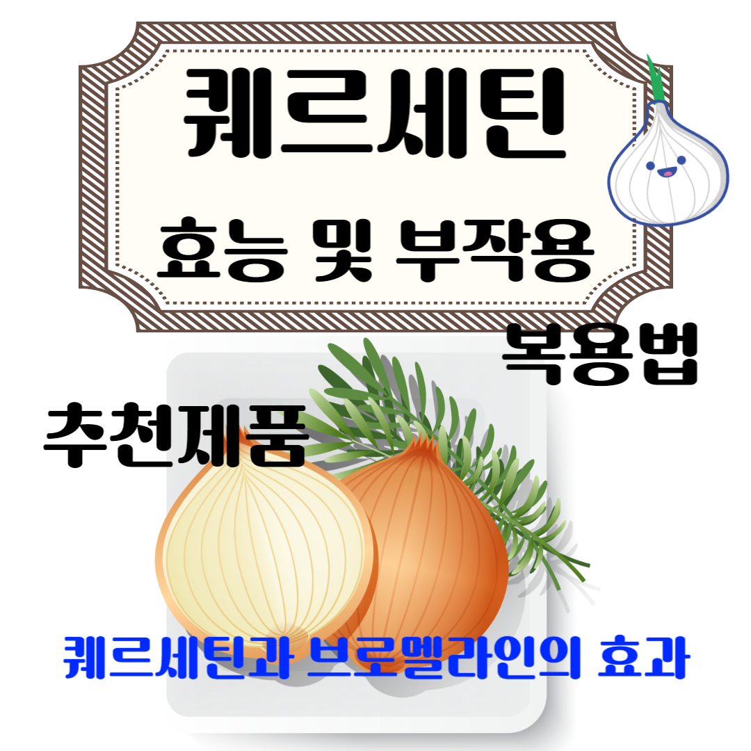 퀘르세틴 효능 부작용 및 복용법, 추천제품