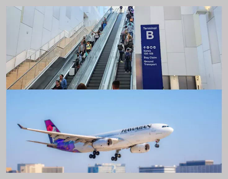 하와이안 항공터미널 위치