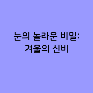 눈의 놀라운 비밀