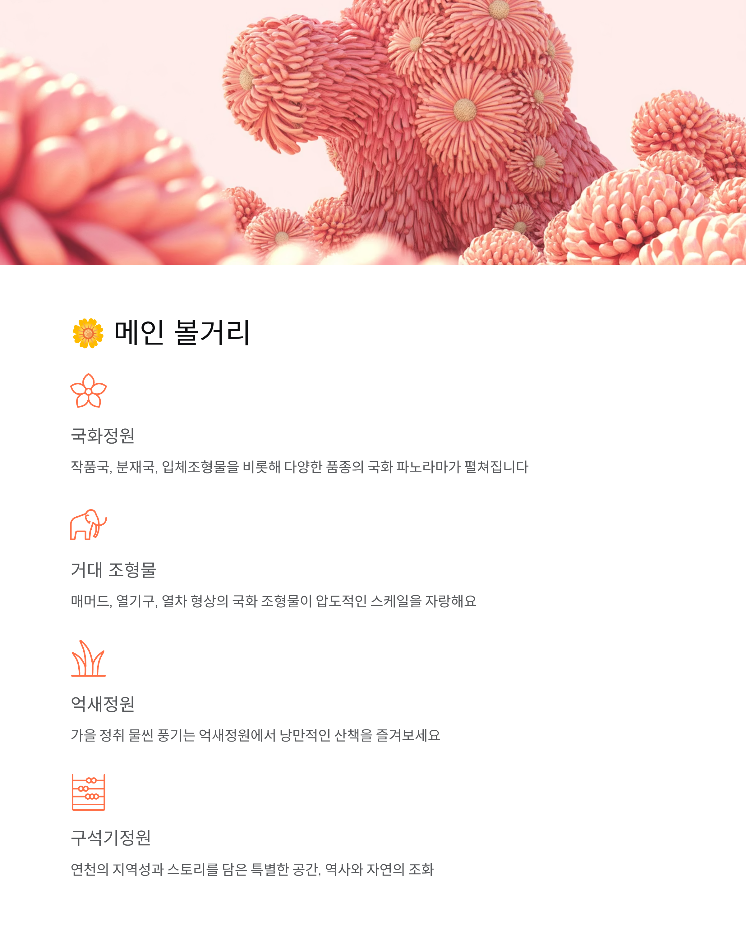 연천 국화축제 2025 완벽 가이드 - 무료입장에,주차정보, 율무축제까지!