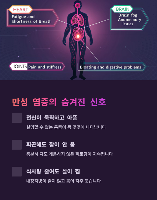 만성 염증의 숨겨진 신호