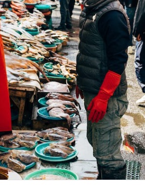 방어 부시리 구별법