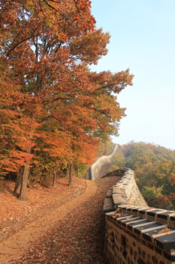서울 근교 단풍 명소 BEST 5 , 화담숲 예약 모노레일 예약 방법