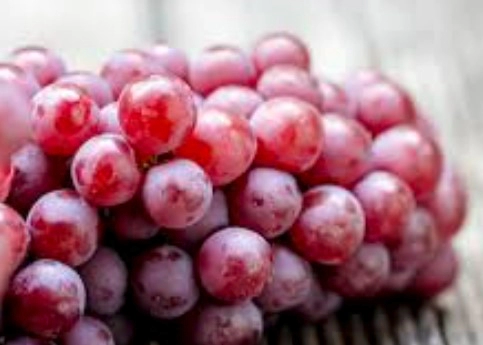 Resveratrol and Cognitive Enhancement