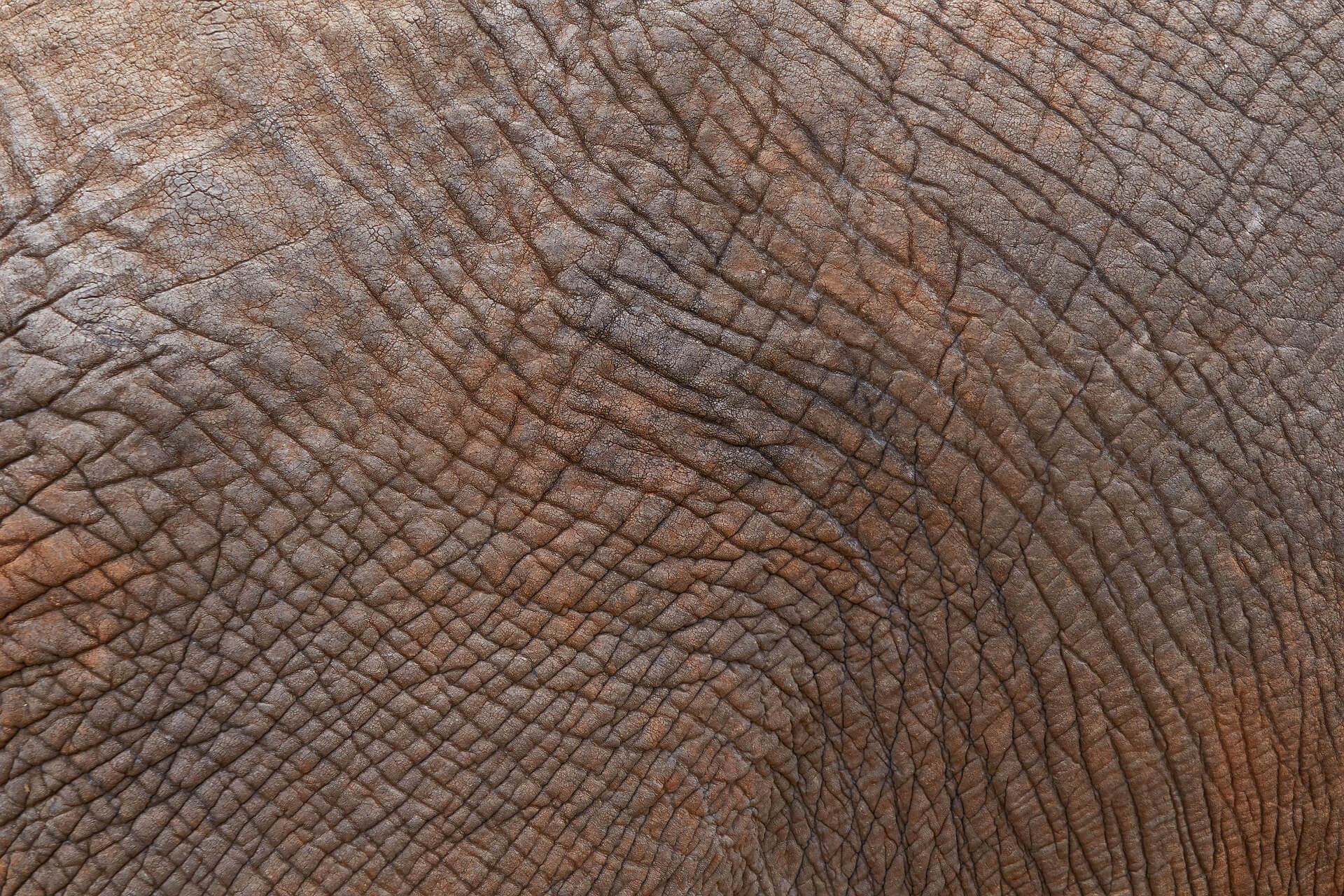 황사 피부 트러블 심해지는 이유? 피부과가 알려주는 관리 방법