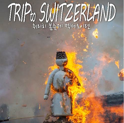 취리히-젝세로이텐