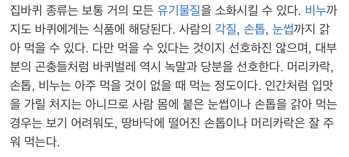 바퀴벌레 퇴치 법