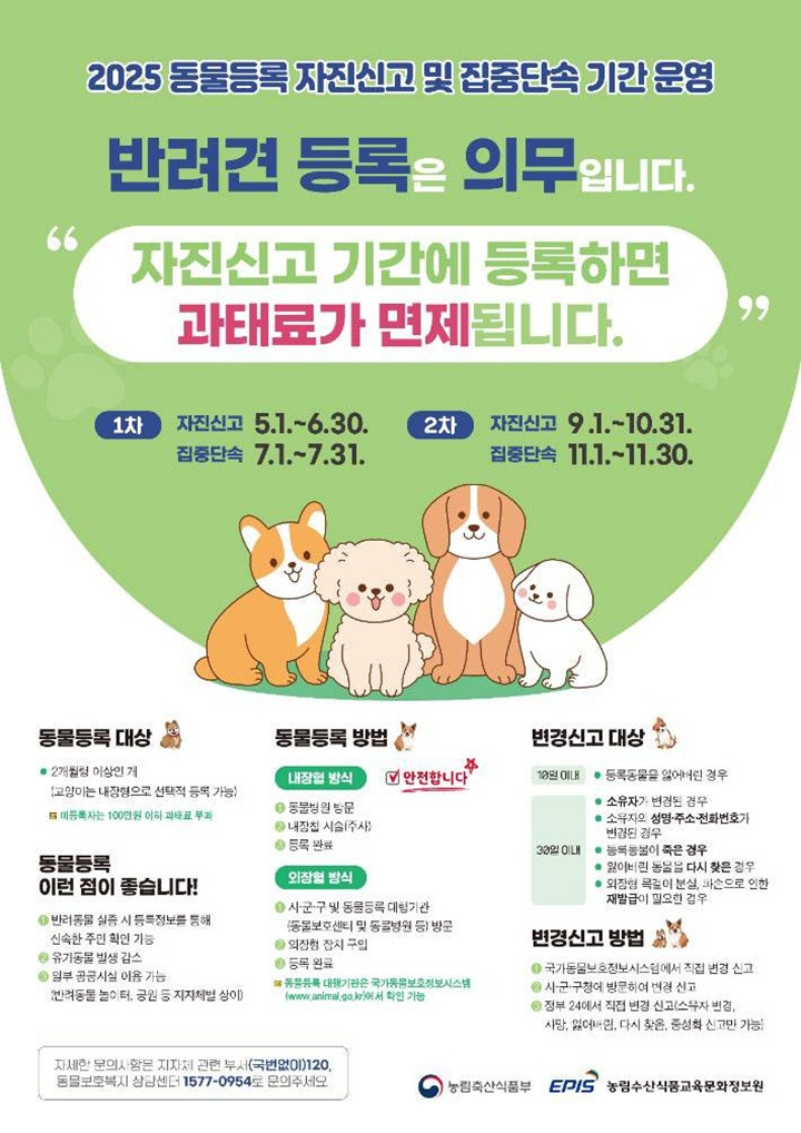 2025 동물등록 자진신고 및 집중단속 기간 운영