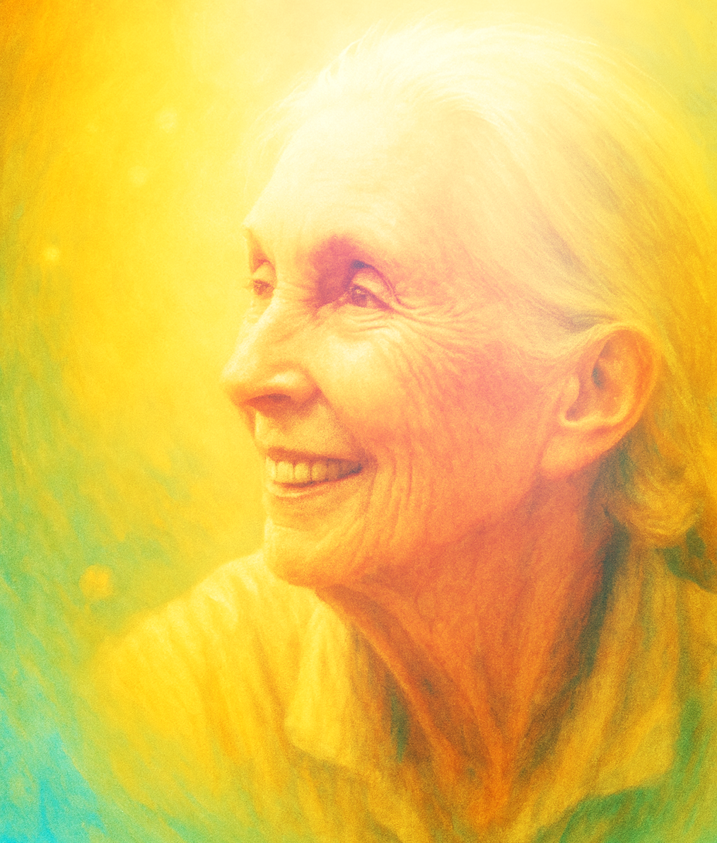 제인구달 옆 얼굴 파스텔화