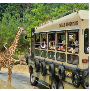 에버랜드 큐패스, 플랜잇 가격 구입