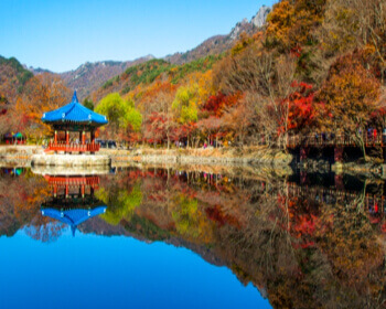 단풍 명소 내장산