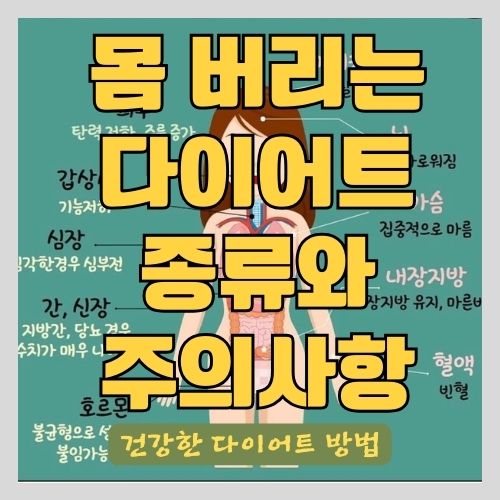 다이어트하고 몸이 망가지는 이유와 원인( 칼로리 제한, 저지방 식단, 인슐린) - 다이어트 부작용과 안전하게 살 빼는 법 썸네일