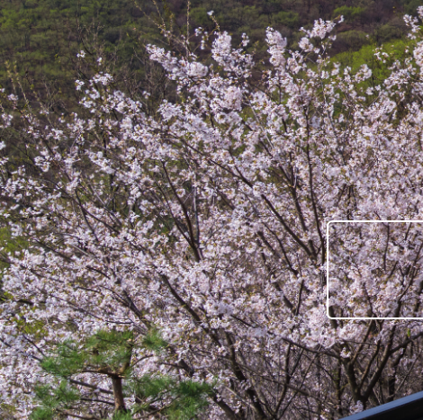 화담숲 주변 맛집 가볼만한곳