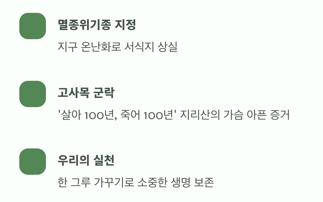 기후 위기의 증인, 우리가 지켜야 할 나무