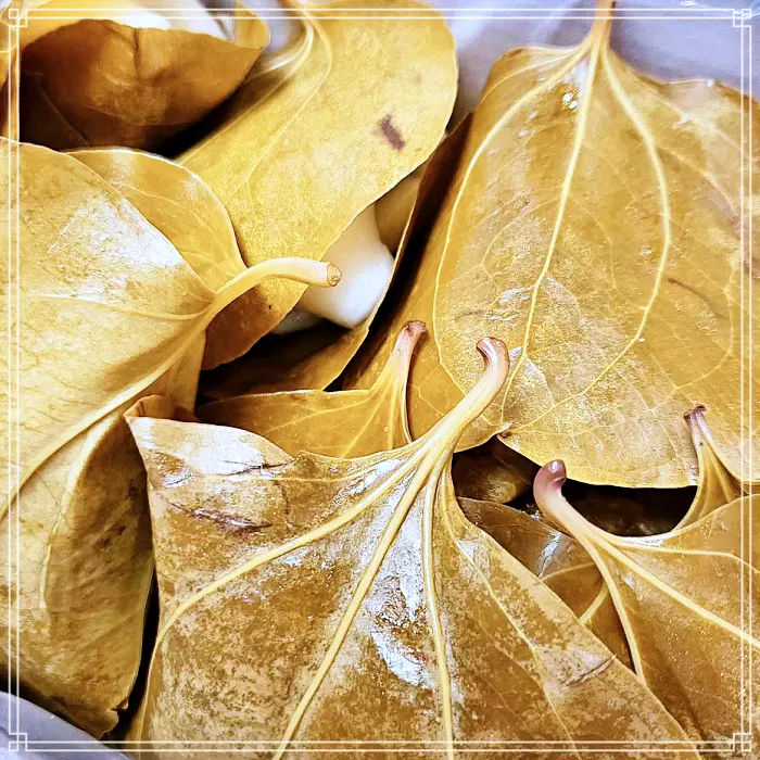 6시 내고향 경북 의령 전통시장 택배 판매 주문 망개떡 맛집