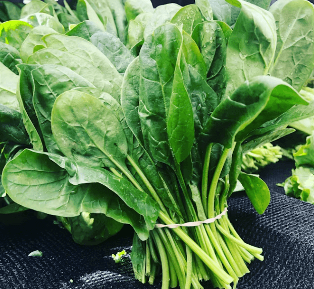 폐 건강 지키는 5가지 방법: 비타민K와 생활 습관