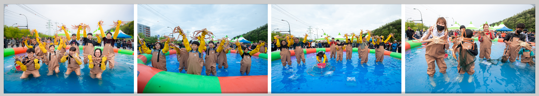 동해 크랩킹 크랩 맨손 잡기 사전예약