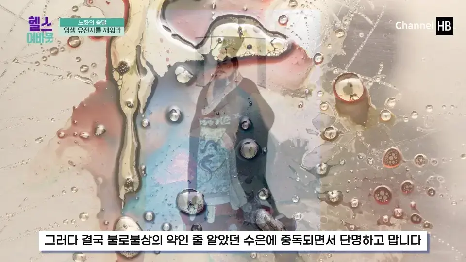 일본 NMN 영양제