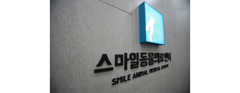 여주시 동물병원