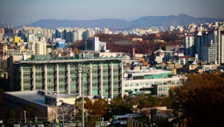2026 제주 민생지원금 총정리: 도민 소득 올리고 골목상권 지원책