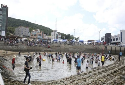 삼길포우럭축제