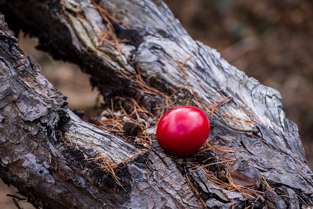 코피 멈추는 법 BEST5 – 빠르고 효과적인 대처법