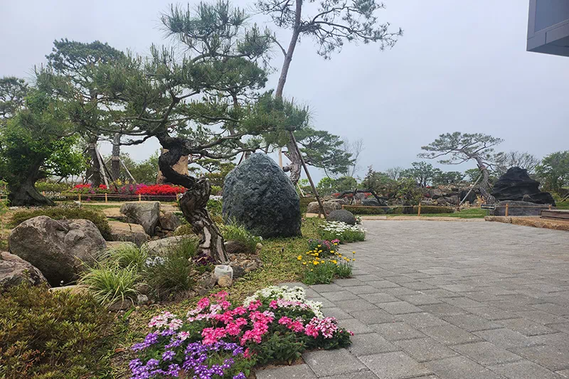 특색 있고 아름다운 민간 정원 30선 추천 여행 - 15. 구례 반야원 &amp; 플라타너스 