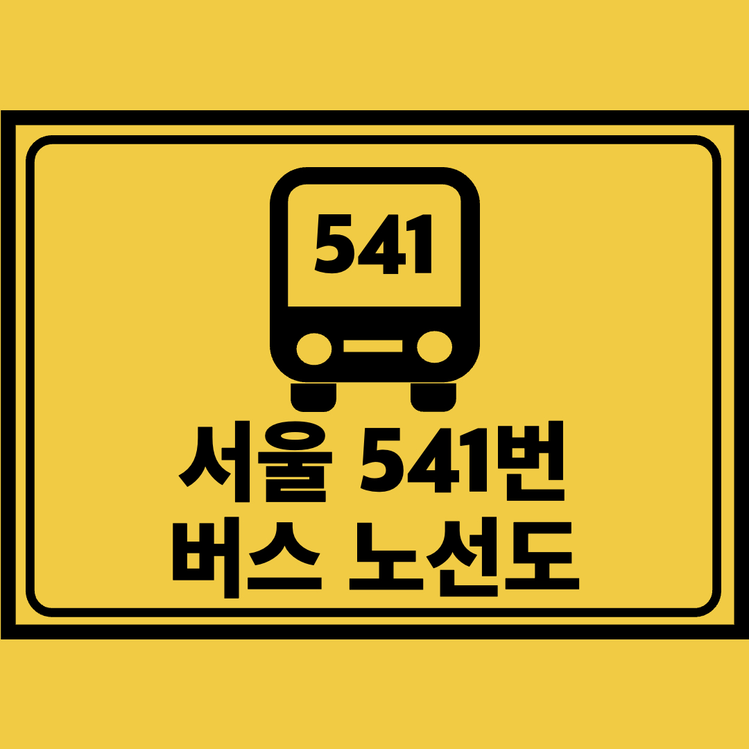 서울541번버스노선도
