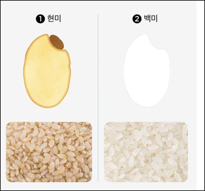 이맛쌀 20KG