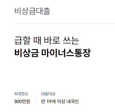 소액대출 300만원