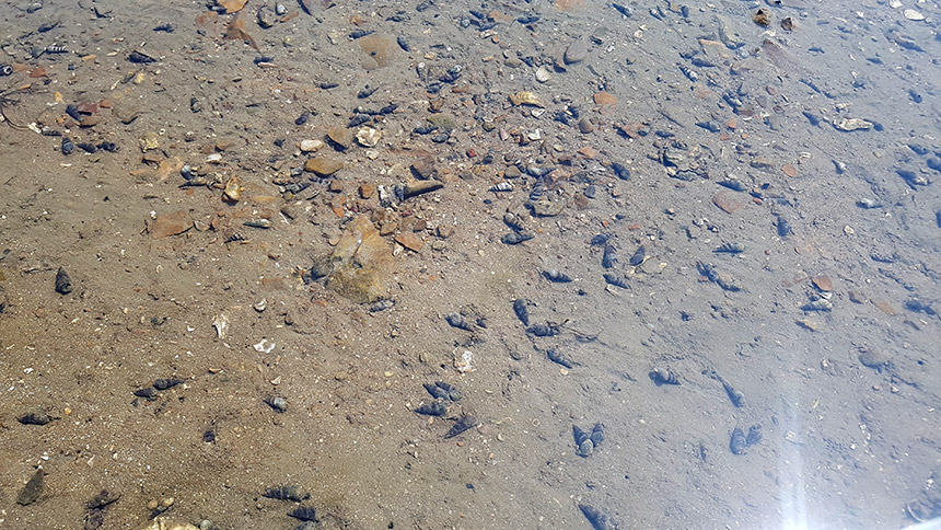 제부도