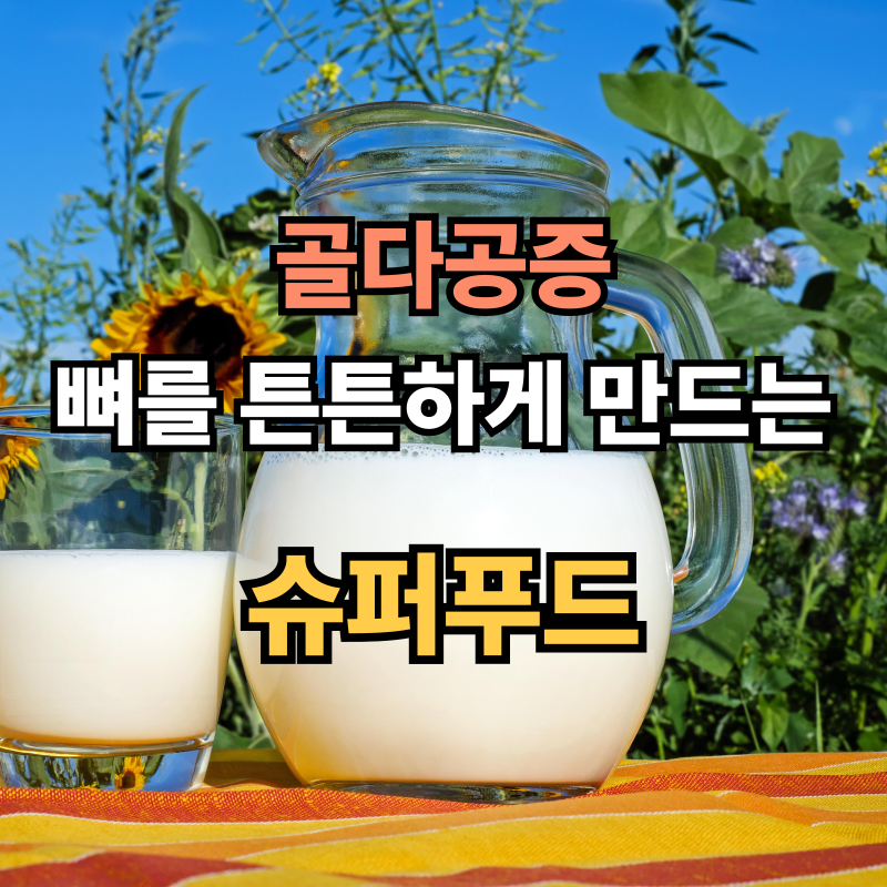 골다공증에 좋은 음식, 뼈를 튼튼하게 만드는 슈퍼푸드 🥦💪