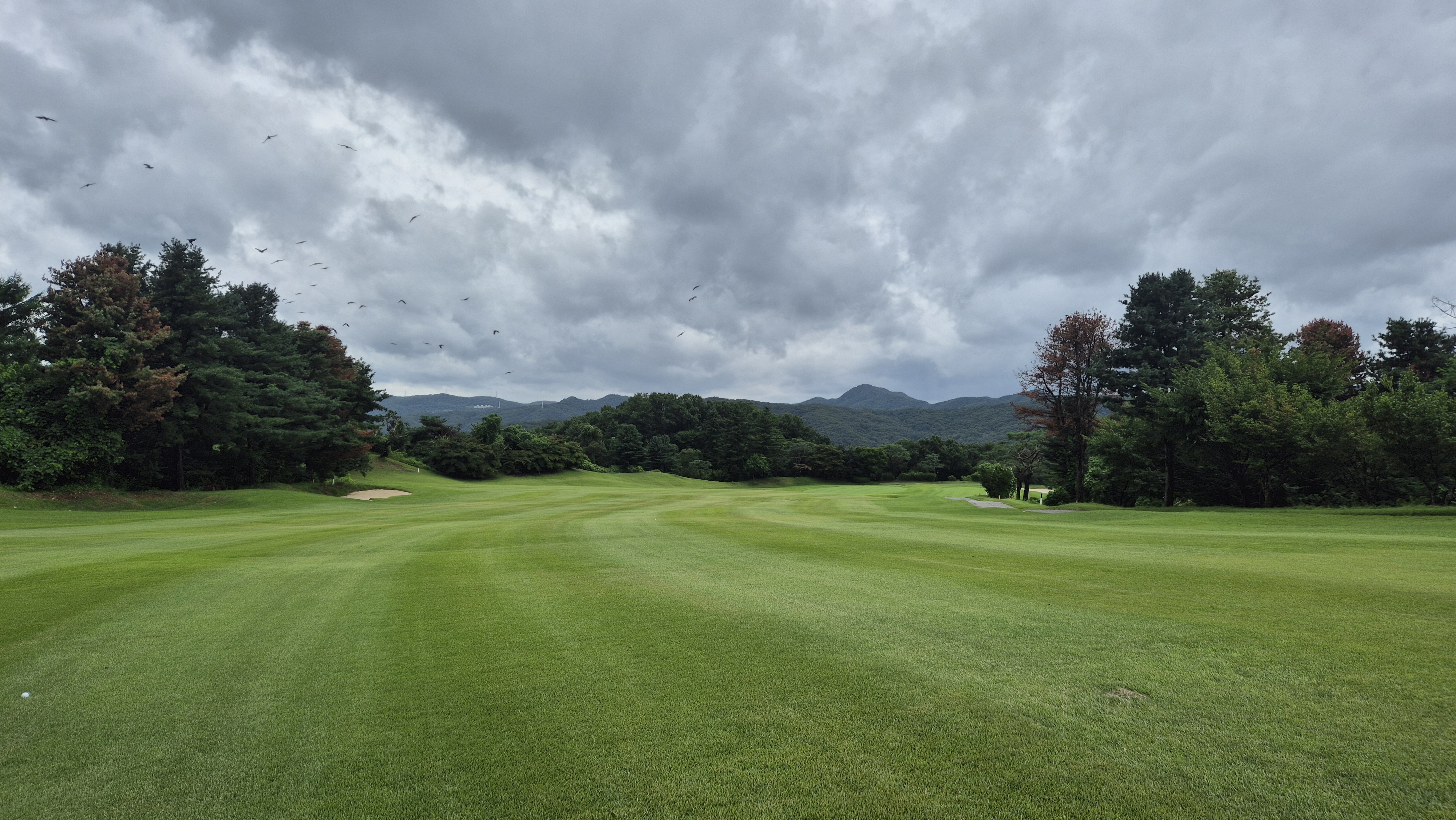 뉴서울cc 예술in-문화in 코스 사진 및 공략 정보