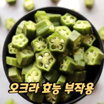 오크라 효능 재배법 손질 수확 요리 보관까지 한눈에 보기_25