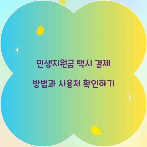 민생지원금 택시 결제